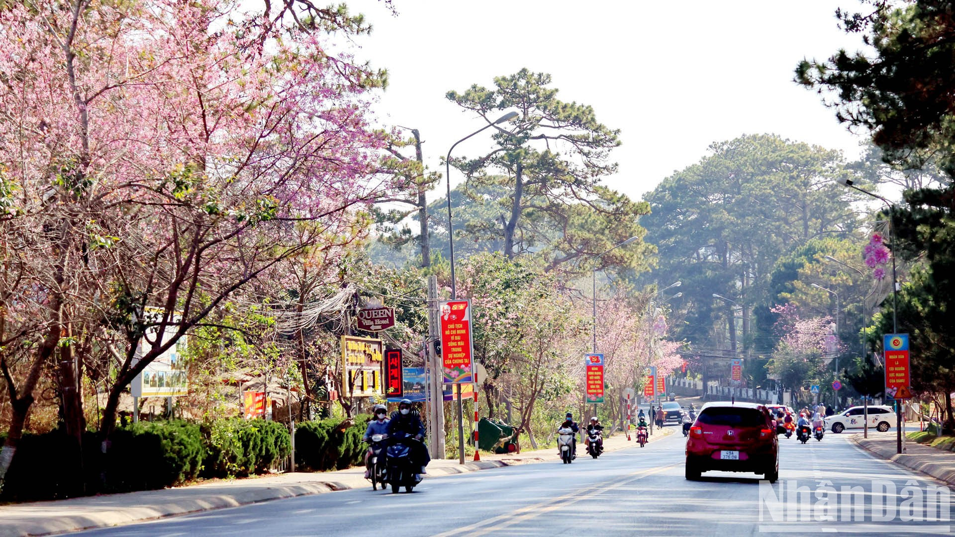 Ciudad vietnamita romántica con flores de cerezo