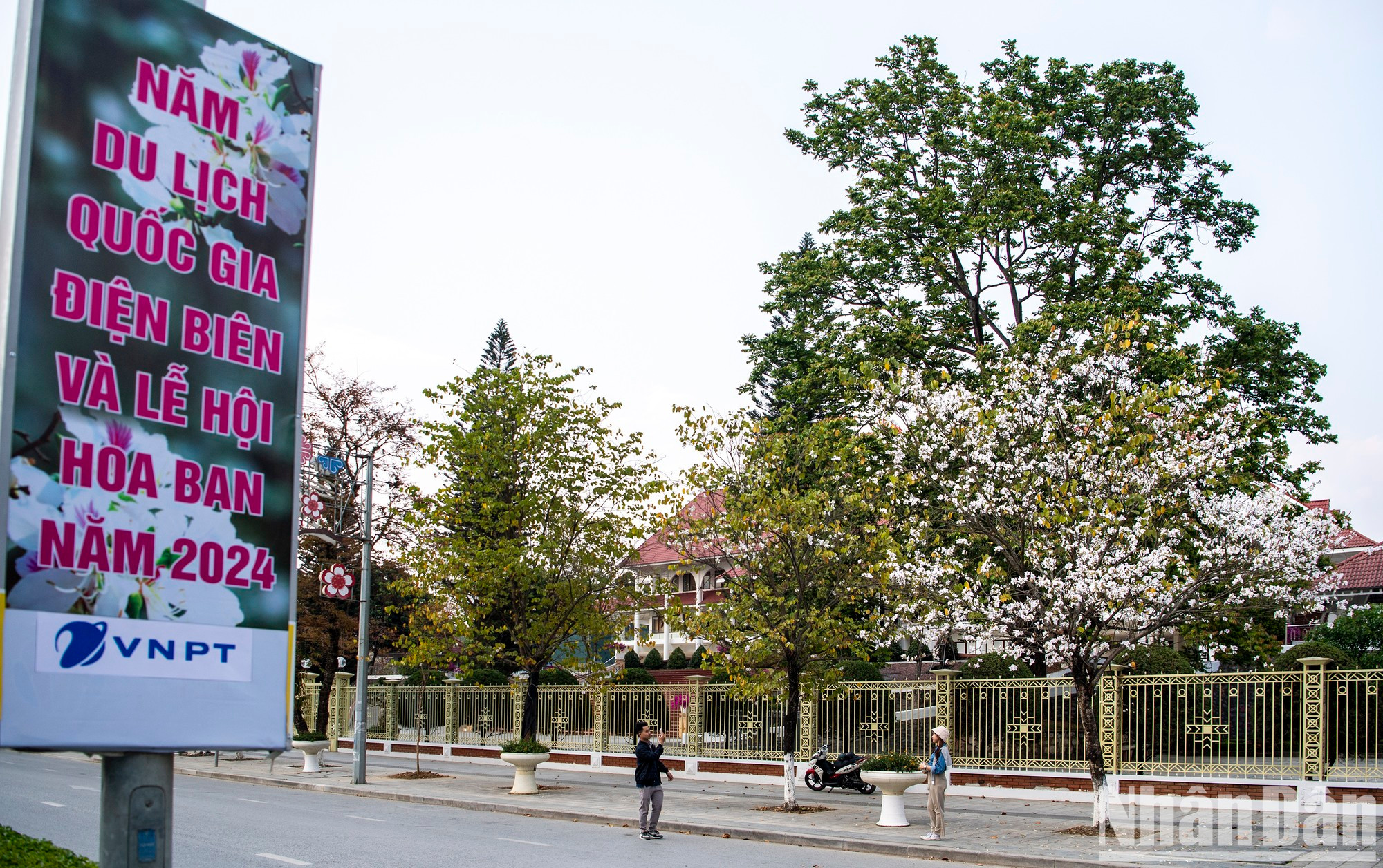 Las flores blancas dan la bienvenida a los visitantes. Las flores blancas dan la bienvenida a los visitantes.