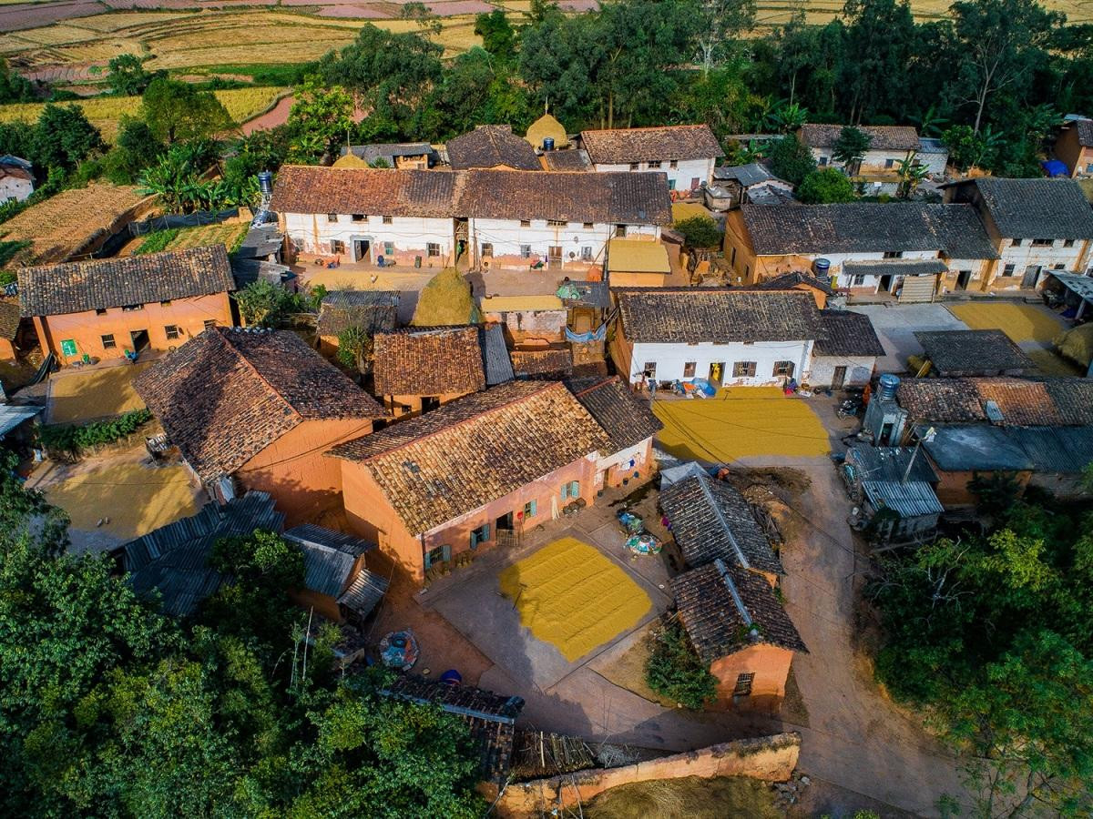 Una de las características culturales emblemáticas del distrito de Loc Binh son las casas de barro Trinh Tuong de los Nung, hechas de tierra para adaptarse a las condiciones climáticas extremadamente duras de las montañas. Ofrecen un ambiente fresco en verano y cálido en inverno.