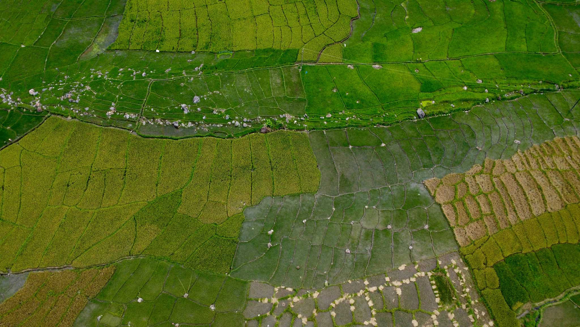 La comuna de Muong Hoong muestra su imagen armoniosa, con campos en terrazas mezclados con el verdor de los árboles. (Foto: Nguyen Quoc Truong). La comuna de Muong Hoong muestra su imagen armoniosa, con campos en terrazas mezclados con el verdor de los árboles. (Foto: Nguyen Quoc Truong).