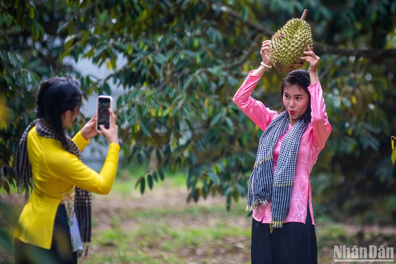 Los visitantes se toman fotos en un jardín de durián.