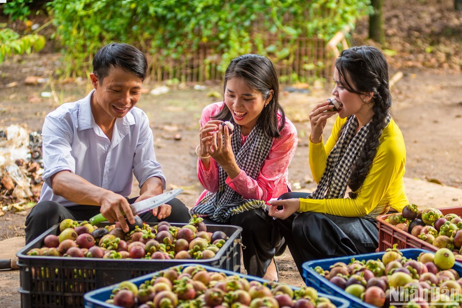 Los visitantes pueden adquirir racimos de frutas recogidos por ellos mismos.