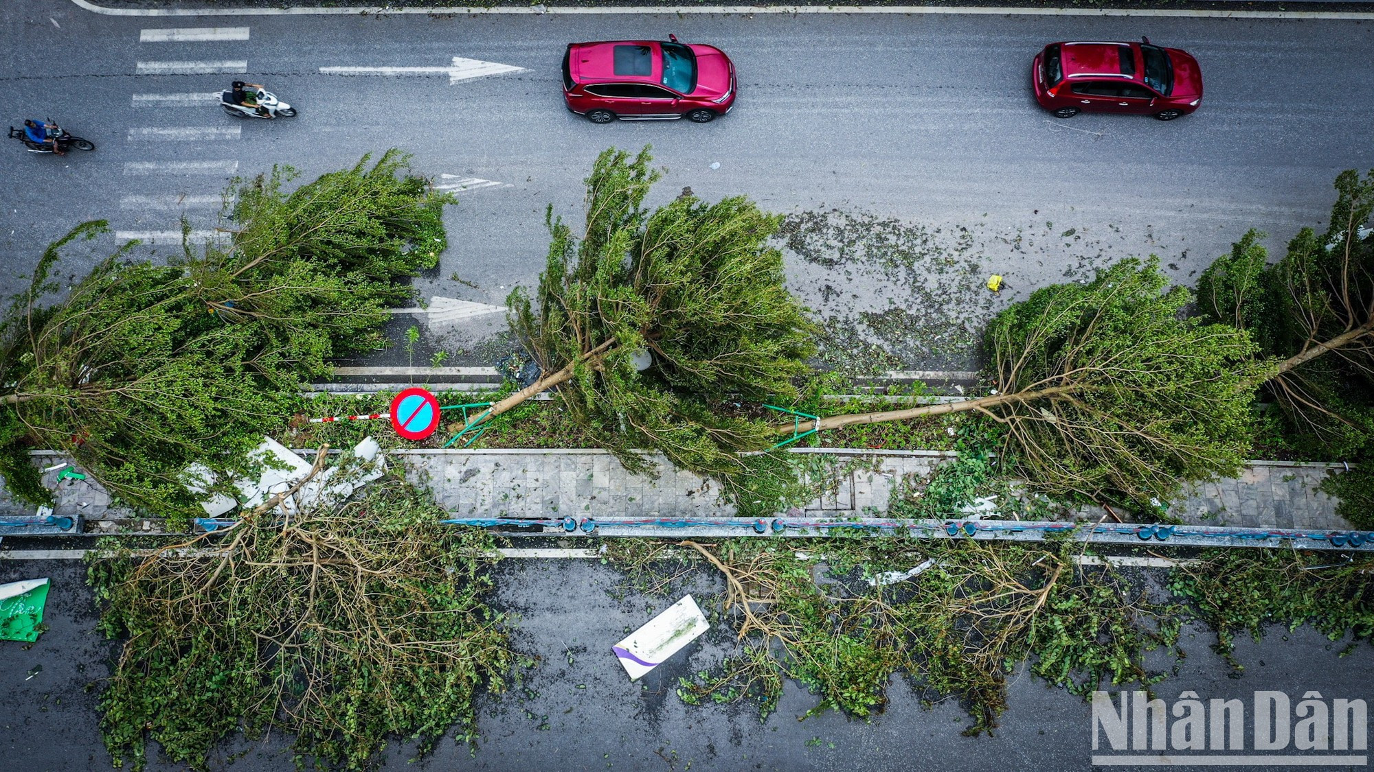 Muchos árboles en las calles de Ha Long fueron derribados por la tormenta. Muchos árboles en las calles de Ha Long fueron derribados por la tormenta.