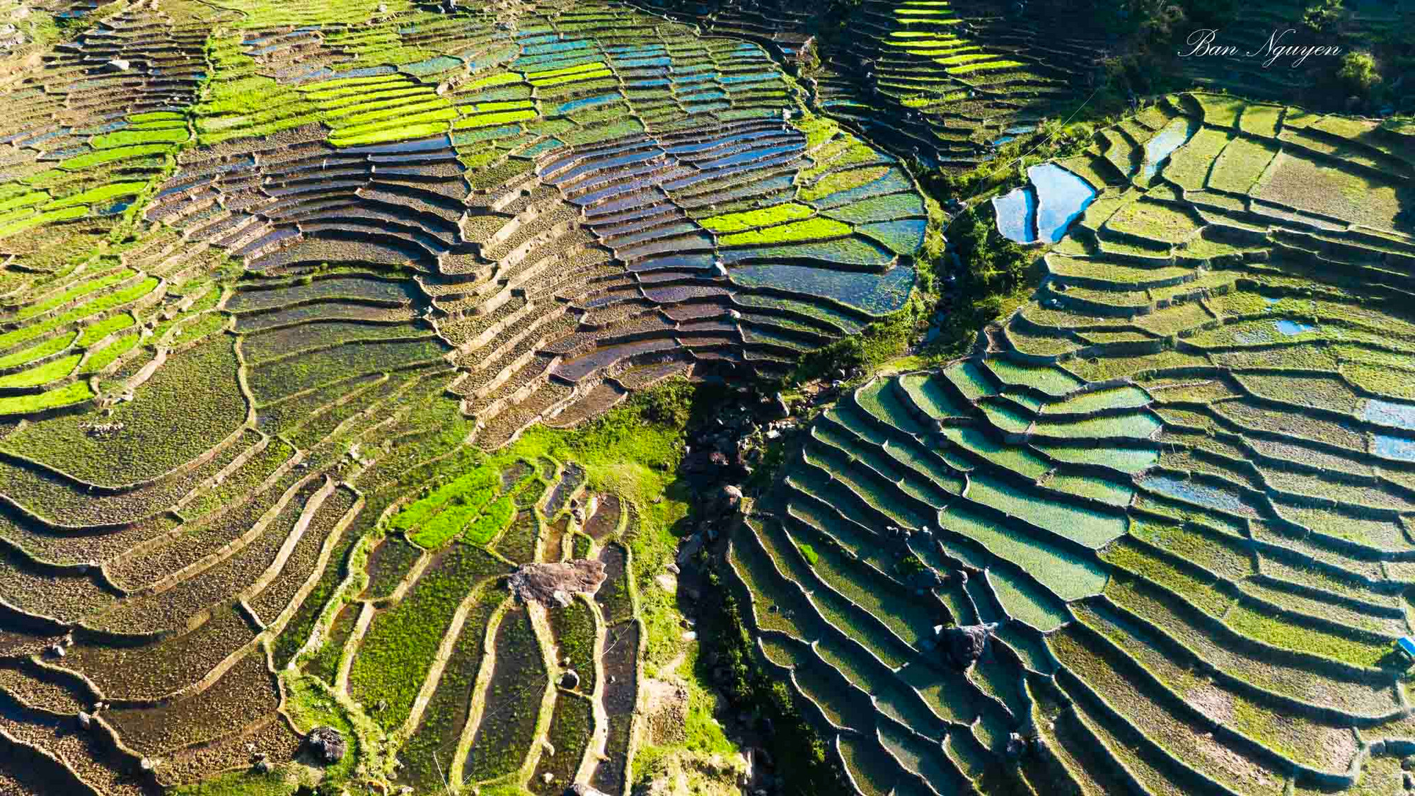El distrito de Tu Mo Rong está dividido por muchos ríos y arroyos, y por altas montañas, por lo que los lugareños deben cultivar arroz en campos en terrazas. (Foto: Nguyen Ban) El distrito de Tu Mo Rong está dividido por muchos ríos y arroyos, y por altas montañas, por lo que los lugareños deben cultivar arroz en campos en terrazas. (Foto: Nguyen Ban)
