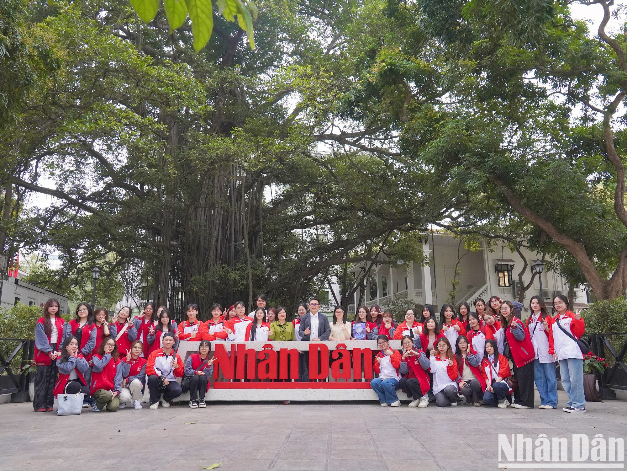 Los participantes posan junto al emblemático árbol baniano del recinto de Nhan Dan. Los participantes posan junto al emblemático árbol baniano del recinto de Nhan Dan.