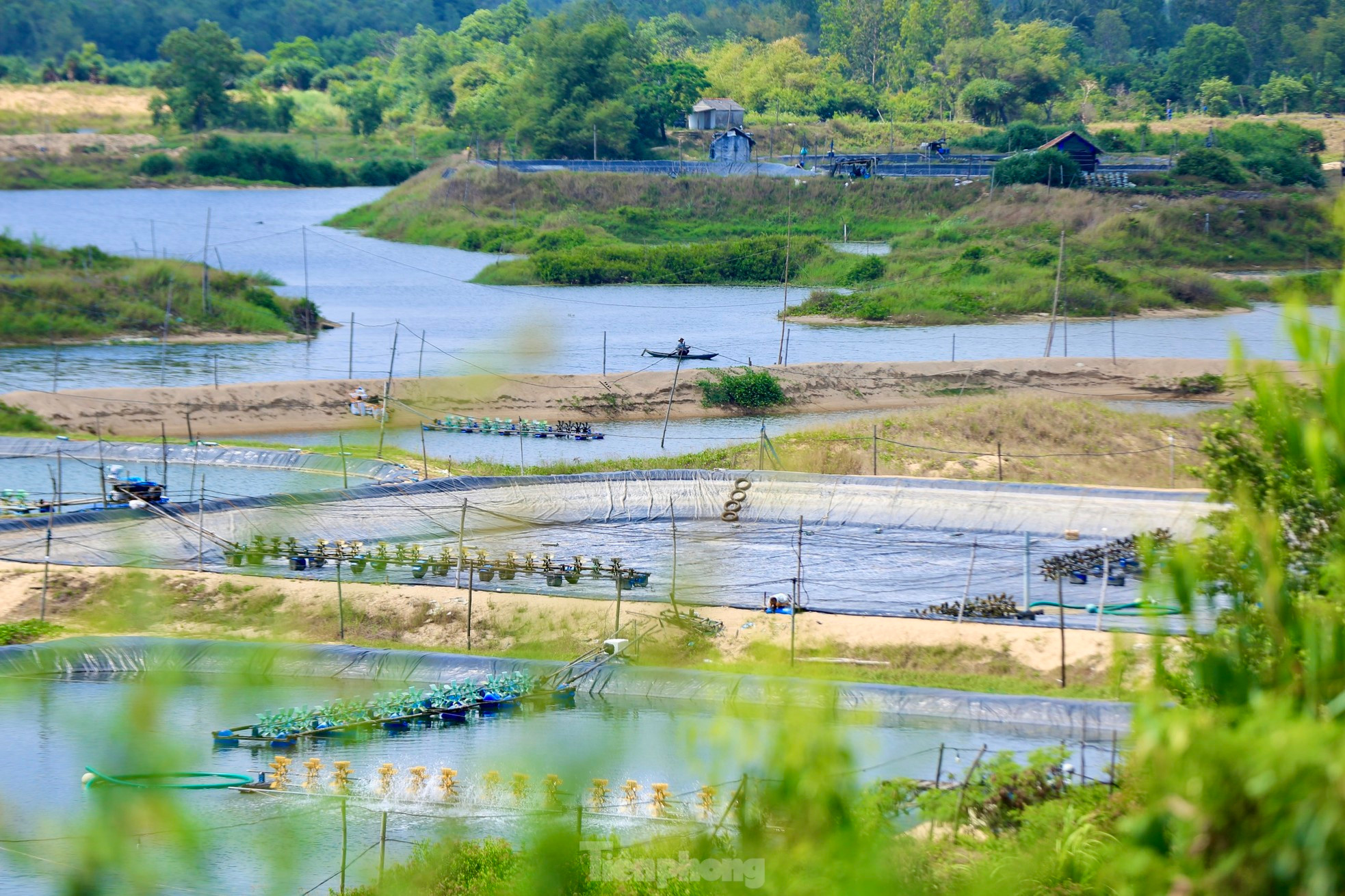 Algunos ángulos poéticos del puente.