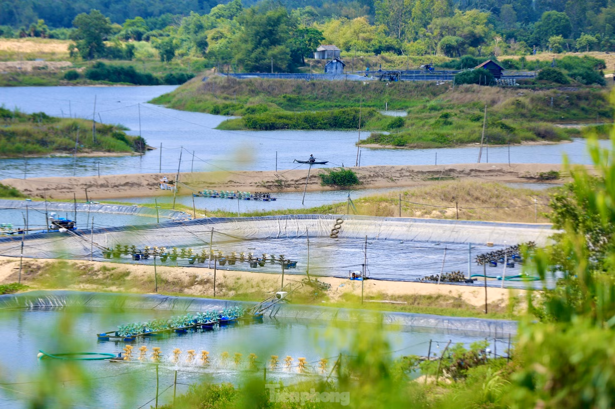 Algunos ángulos poéticos del puente.
