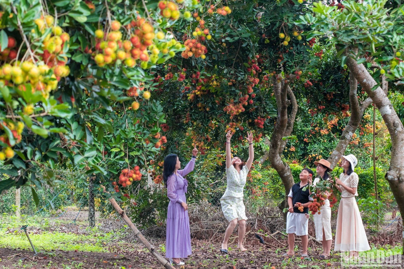 Durante los nueve días del Festival se efectuarán diversos eventos para presentar y vender productos típicos locales.