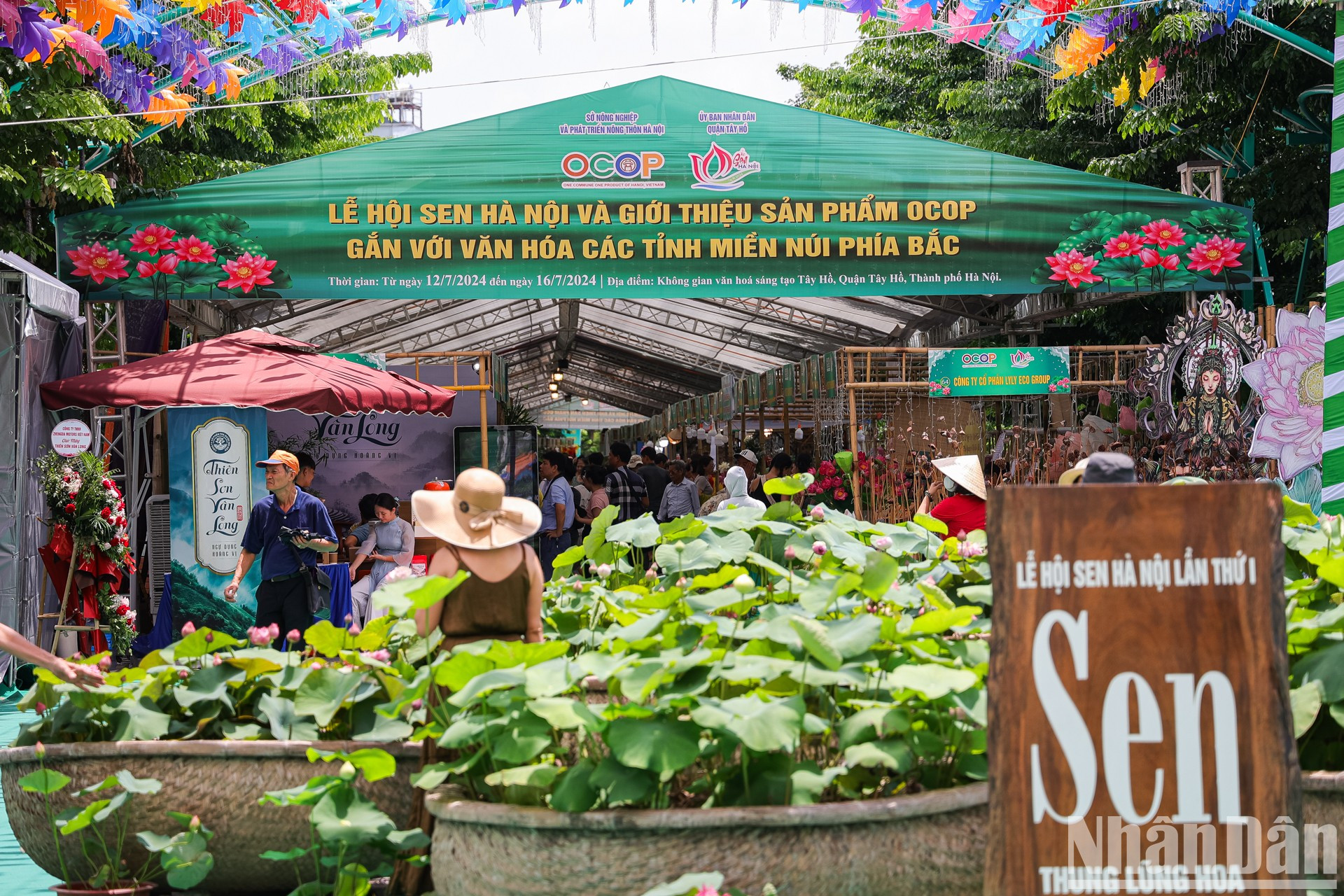 El Festival del Loto de Hanói 2024 es un evento organizado por primera vez por el Comité Popular del distrito de Tay Ho, en coordinación con el Servicio municipal de Agricultura y Desarrollo Rural y la Unión de Organizaciones de Amistad de Hanói con motivo del 70 aniversario de la Liberación de la Capital (10 de octubre de 1954). El Festival del Loto de Hanói 2024 es un evento organizado por primera vez por el Comité Popular del distrito de Tay Ho, en coordinación con el Servicio municipal de Agricultura y Desarrollo Rural y la Unión de Organizaciones de Amistad de Hanói con motivo del 70 aniversario de la Liberación de la Capital (10 de octubre de 1954).