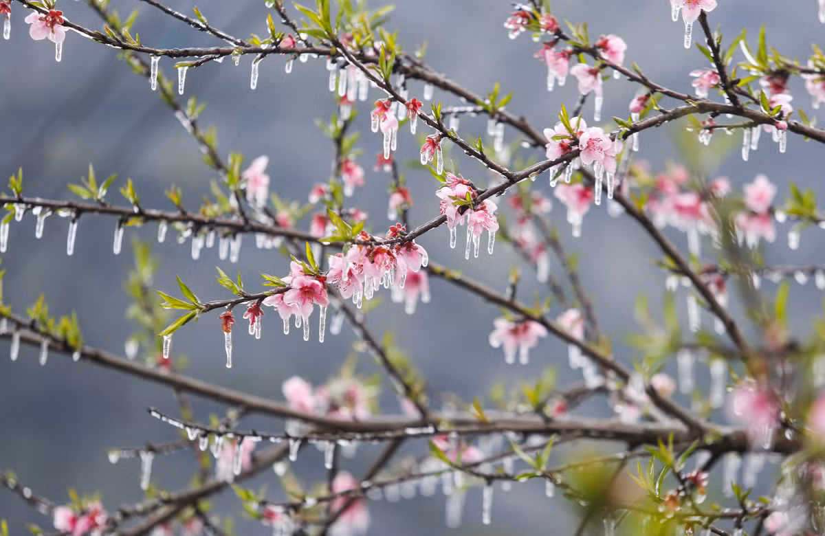 En invierno, la meseta se cubre de escarcha, con un color oscuro y tranquilo. En la foto, un rincón de la aldea de Lao Xa con temperatura de -2 grados centígrados.