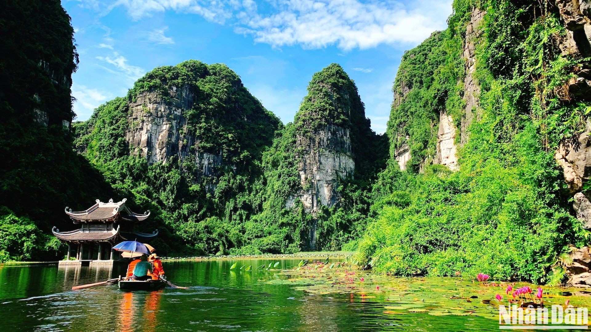 Con cielo azul, nubes blancas y nenúfares púrpuras que florecen alrededor de un escenario acuático (thuy dinh), los turistas se sienten como perdidos en un país de hadas. Con cielo azul, nubes blancas y nenúfares púrpuras que florecen alrededor de un escenario acuático (thuy dinh), los turistas se sienten como perdidos en un país de hadas.
