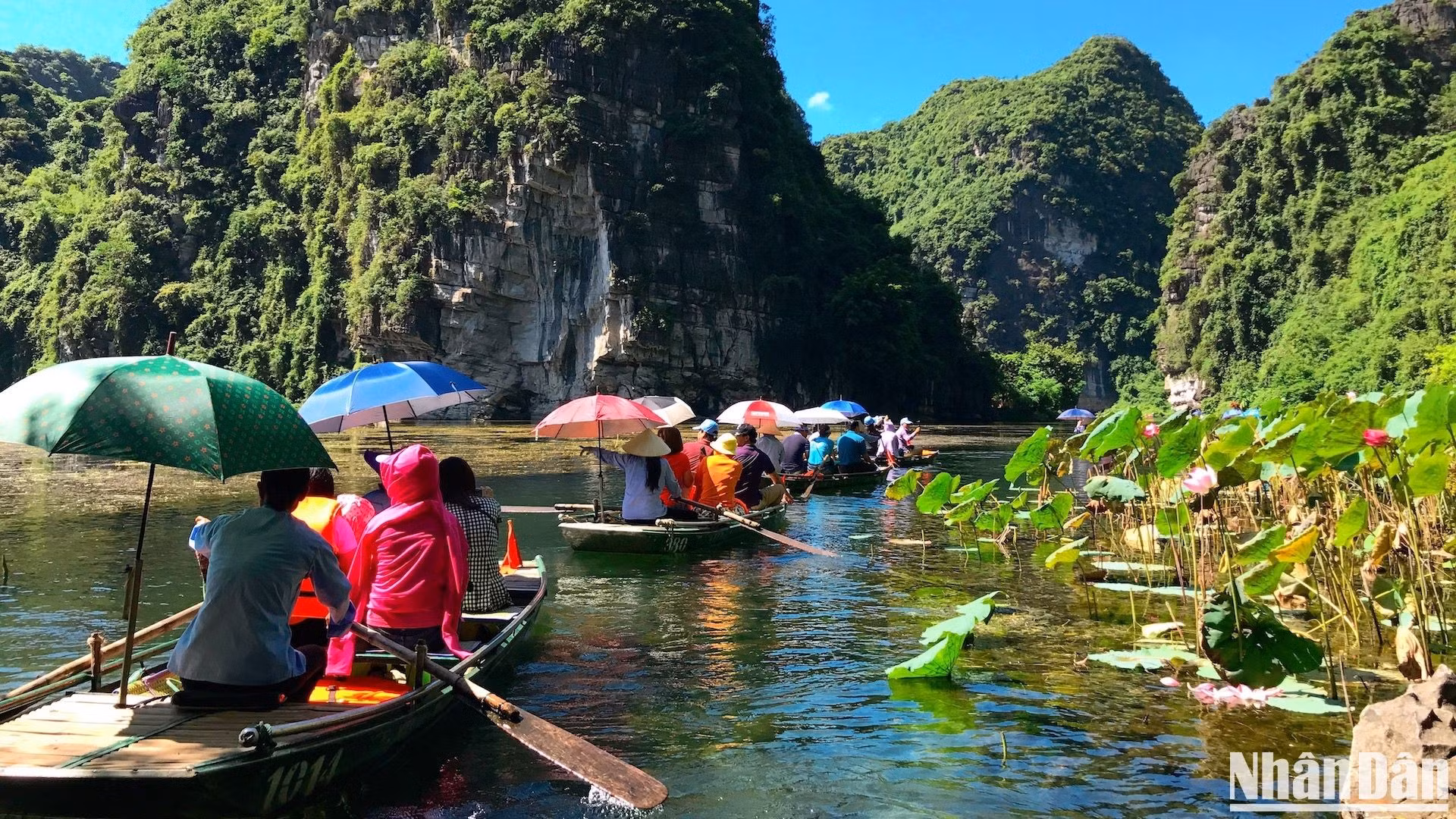 Trang An se llena de fresco color verde con el cambio de estación. Aunque la temporada turística alta ya ha pasado, la zona sigue acogiendo a cientos de visitantes cada fin de semana. Cada trayecto de dos o tres horas en ferry lleva a los turistas a explorar las profundas cuevas de Trang An y las imponentes islotes de piedra caliza con formas espectaculares.