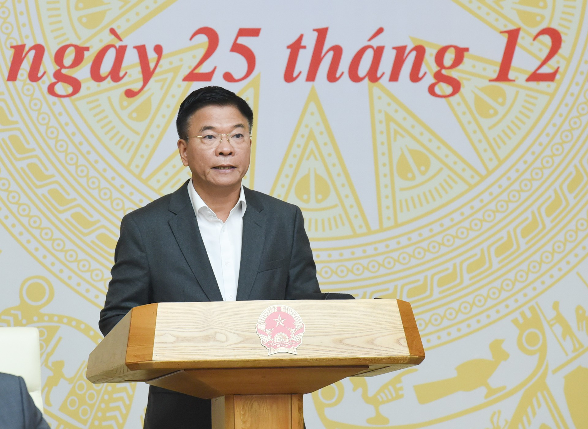 El viceprimer ministro Le Thanh Long. El viceprimer ministro Le Thanh Long.