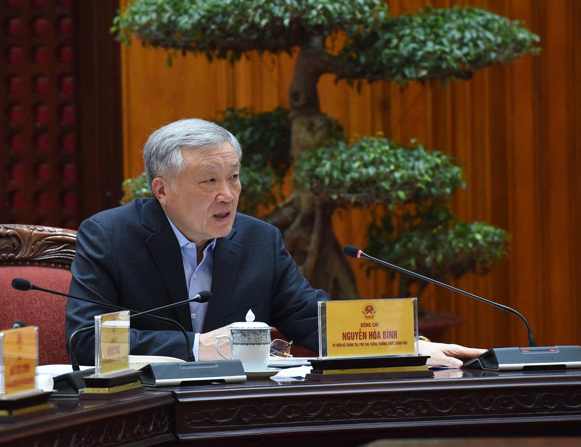El subsecretario ejecutivo del Comité del Partido del Gobierno y viceprimer ministro ejecutivo, Nguyen Hoa Binh, interviene en el acto.