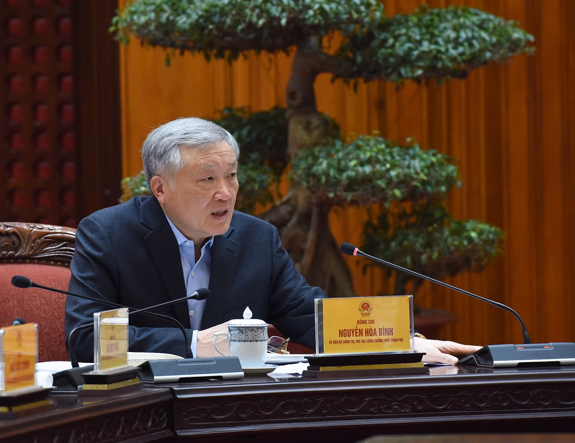 El subsecretario ejecutivo del Comité del Partido del Gobierno y viceprimer ministro ejecutivo, Nguyen Hoa Binh, interviene en el acto.