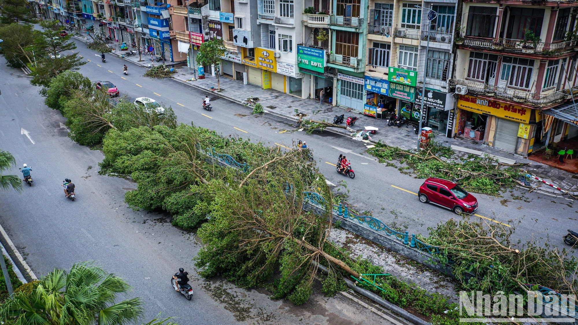 Largas hileras de árboles caídos a lo largo de la calle de Nguyen Van Cu. Largas hileras de árboles caídos a lo largo de la calle de Nguyen Van Cu.