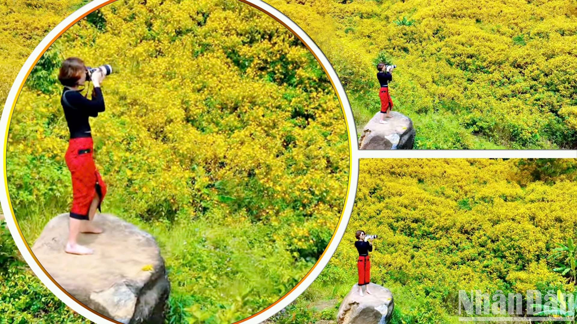 Una escena en el valle junto a la carretera Lien Khuong-Prenn, comuna de Hiep An, distrito de Duc Trong.