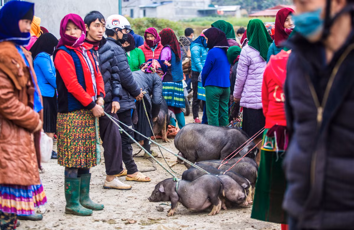 En la meseta rocosa de Dong Van viven unas 250 mil personas de 17 minorías étnicas, las que mantienen su cultura a través del estilo de vida, la arquitectura, los platos y las costumbres.
