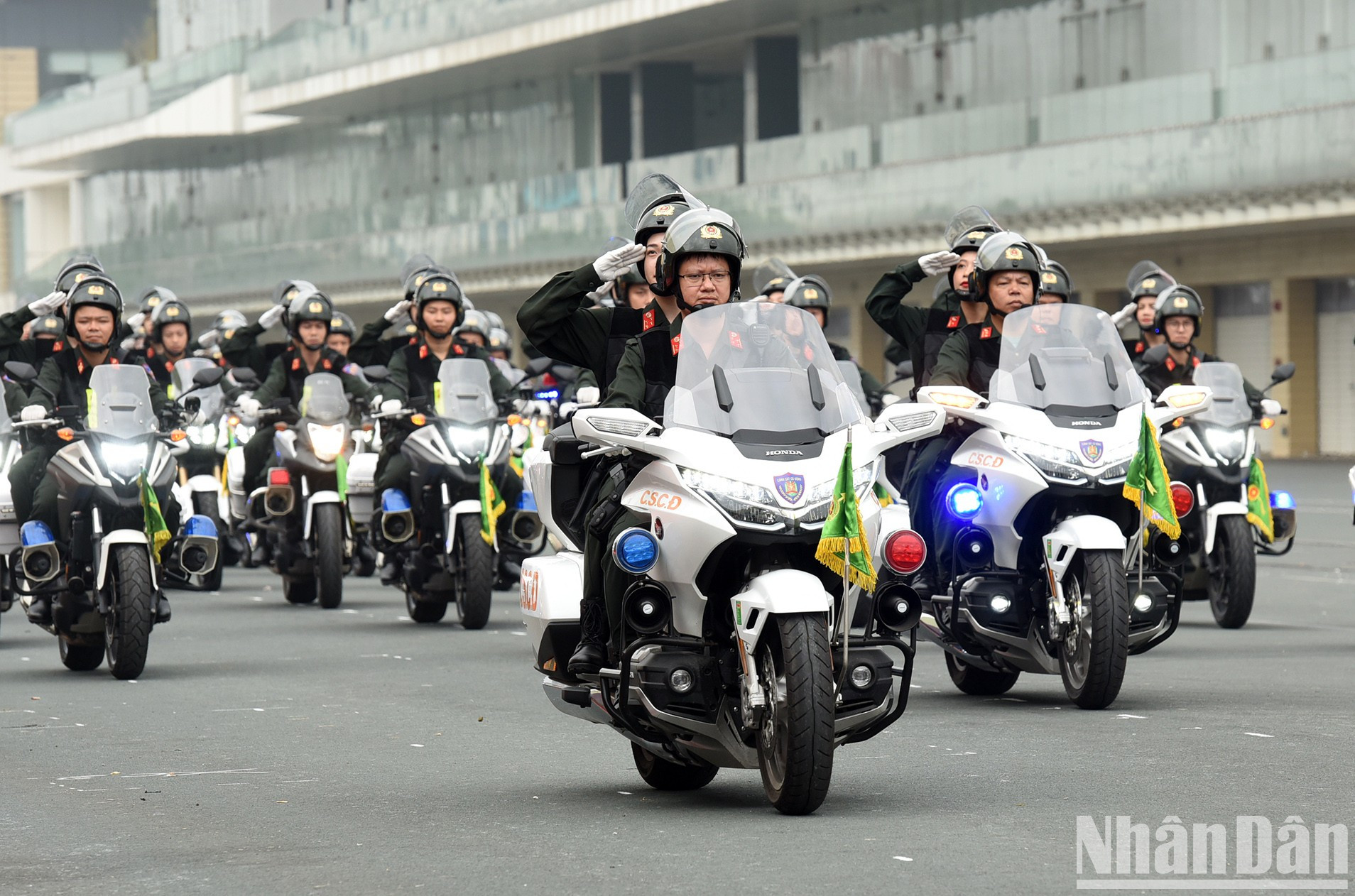 Las motos patrullas. Las motos patrullas.