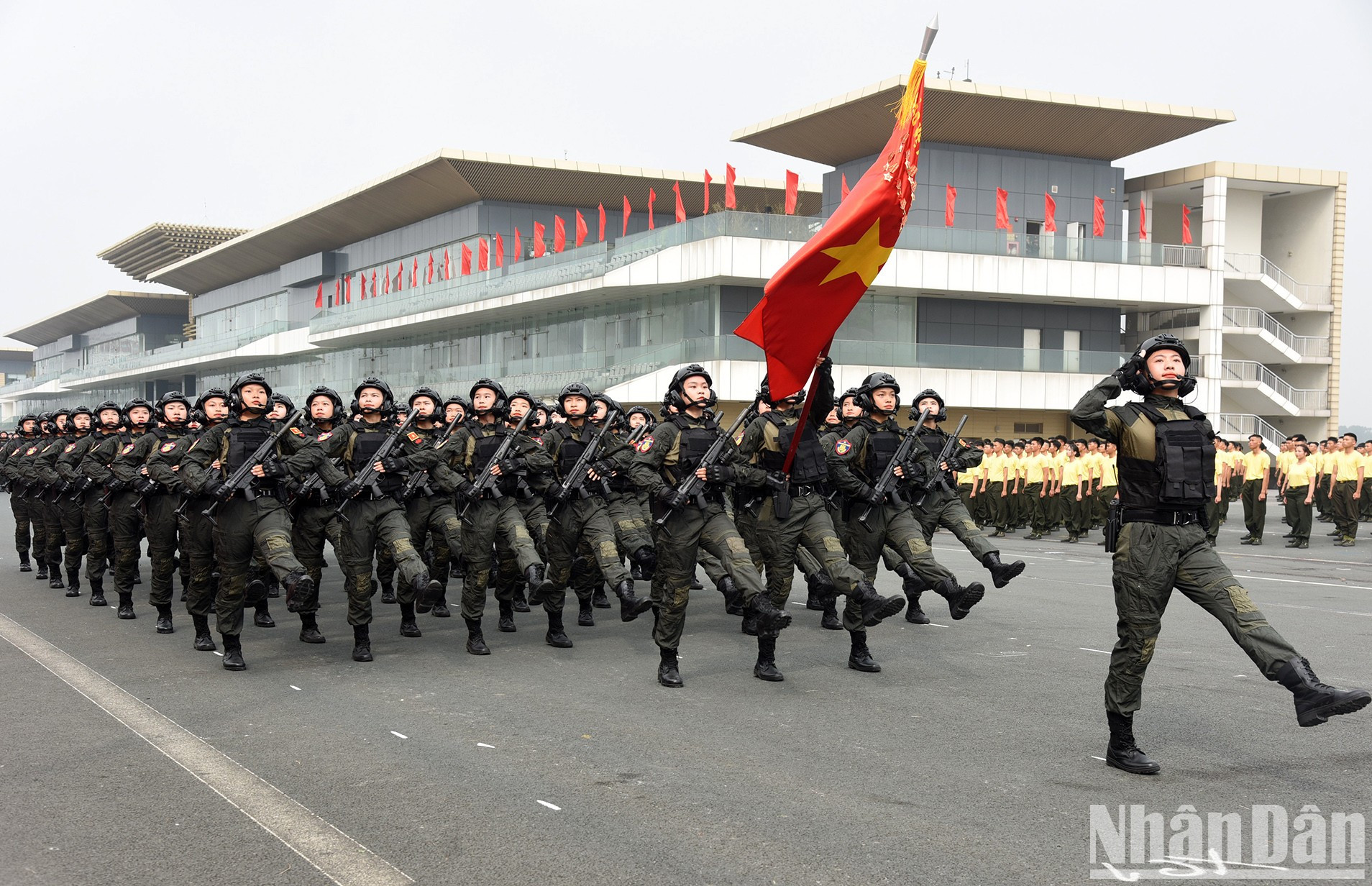 Las “rosas de acero” de la fuerza. Las “rosas de acero” de la fuerza.