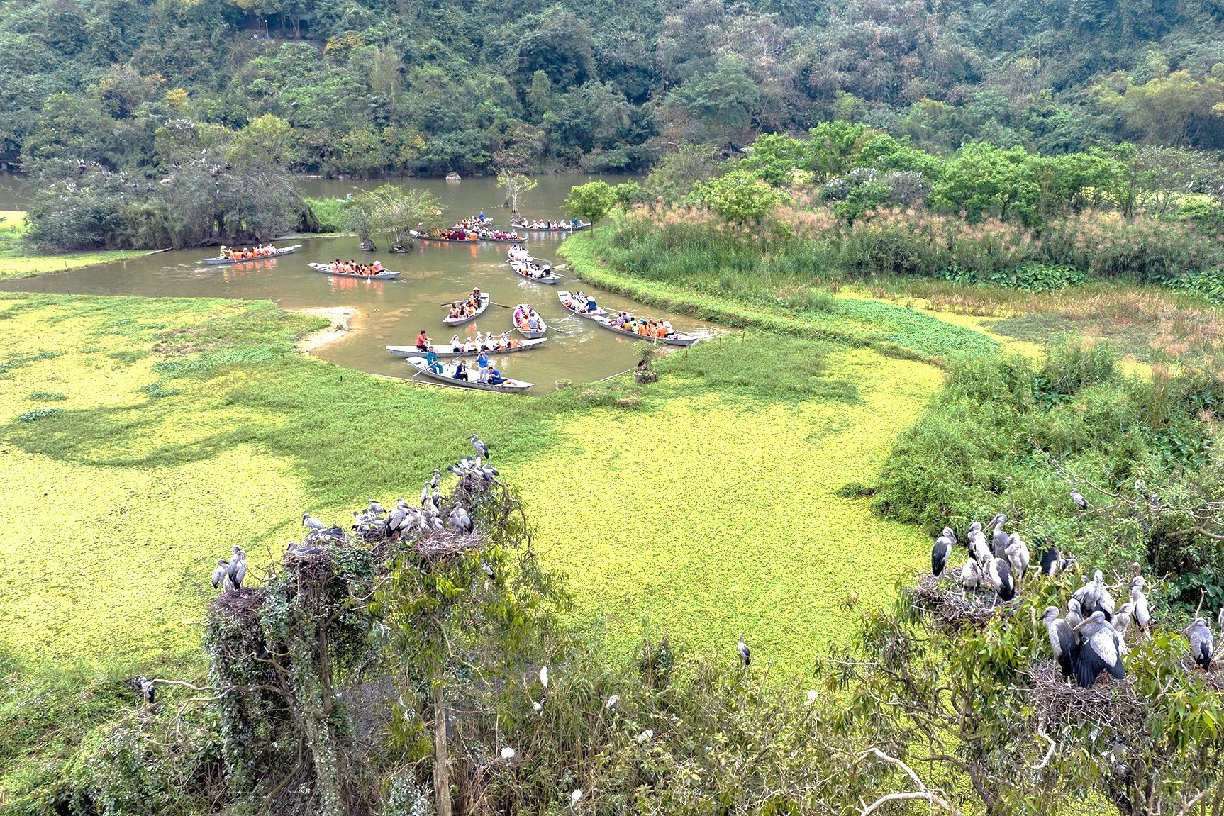Thung Nham se encuentra a 12 kilómetros al sureste de la ciudad de Ninh Binh. Lejos del bullicio de la ciudad, los turistas pueden sumergirse en la naturaleza pura de las montañas y los bosques, los cantos de los pájaros y los ecos de los profundos acantilados.