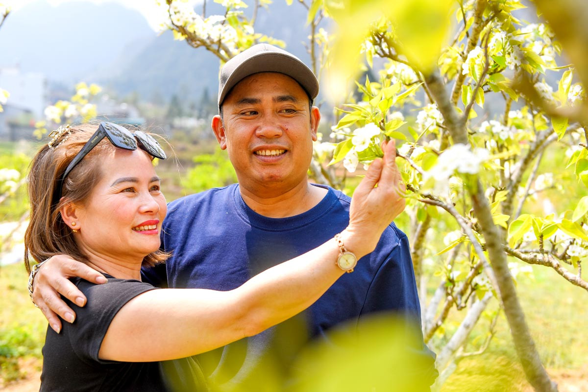 Los festivales de flores de pera y de cultura de las etnias minoritarias del antiguo pueblo de Pho Bang atraen a numerosos turistas.