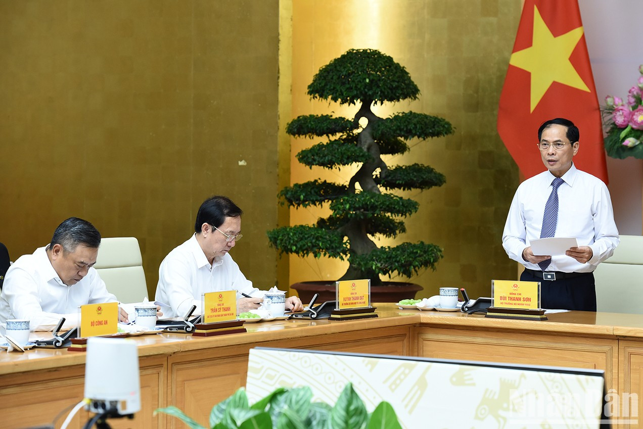 El ministro de Relaciones Exteriores, Bui Thanh Son, informa los resultados de la implementación de la diplomacia económica en los primeros seis meses y el enfoque en los meses restantes del año.