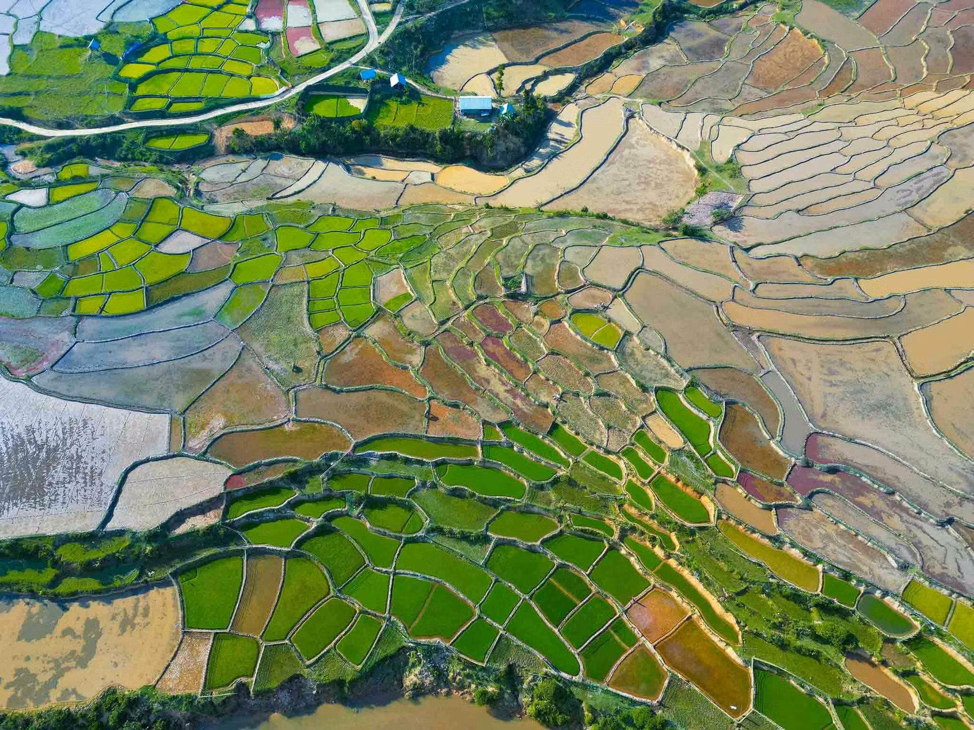 Desde arriba, los campos en terrazas parecen paneles de colores, creando una imagen vívida. (Foto: Luan Lavender)