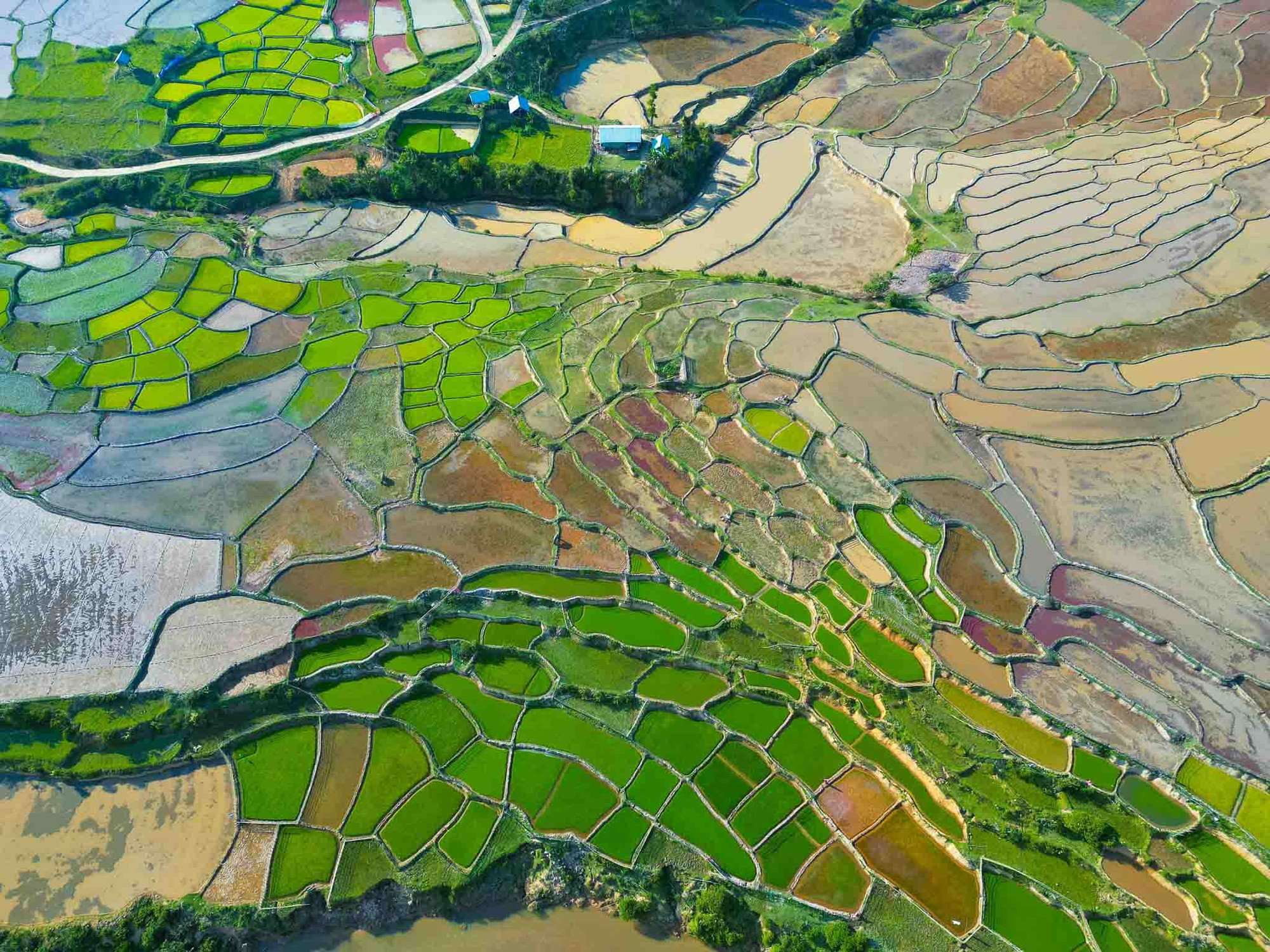Desde arriba, los campos en terrazas parecen paneles de colores, creando una imagen vívida. (Foto: Luan Lavender) Desde arriba, los campos en terrazas parecen paneles de colores, creando una imagen vívida. (Foto: Luan Lavender)