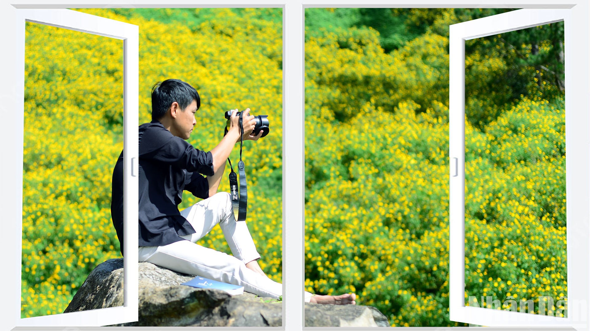 Las flores silvestres cautivan a muchos viajeros por su sencilla belleza.