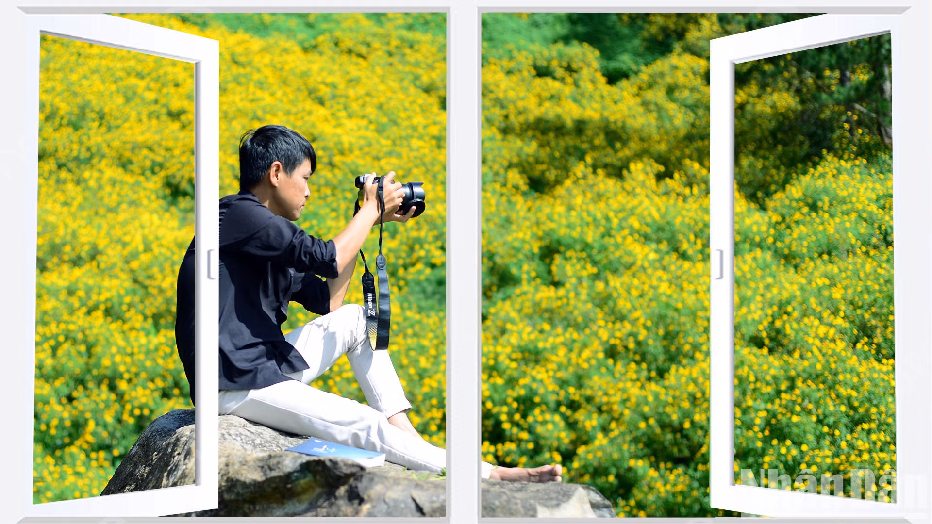 Las flores silvestres cautivan a muchos viajeros por su sencilla belleza.