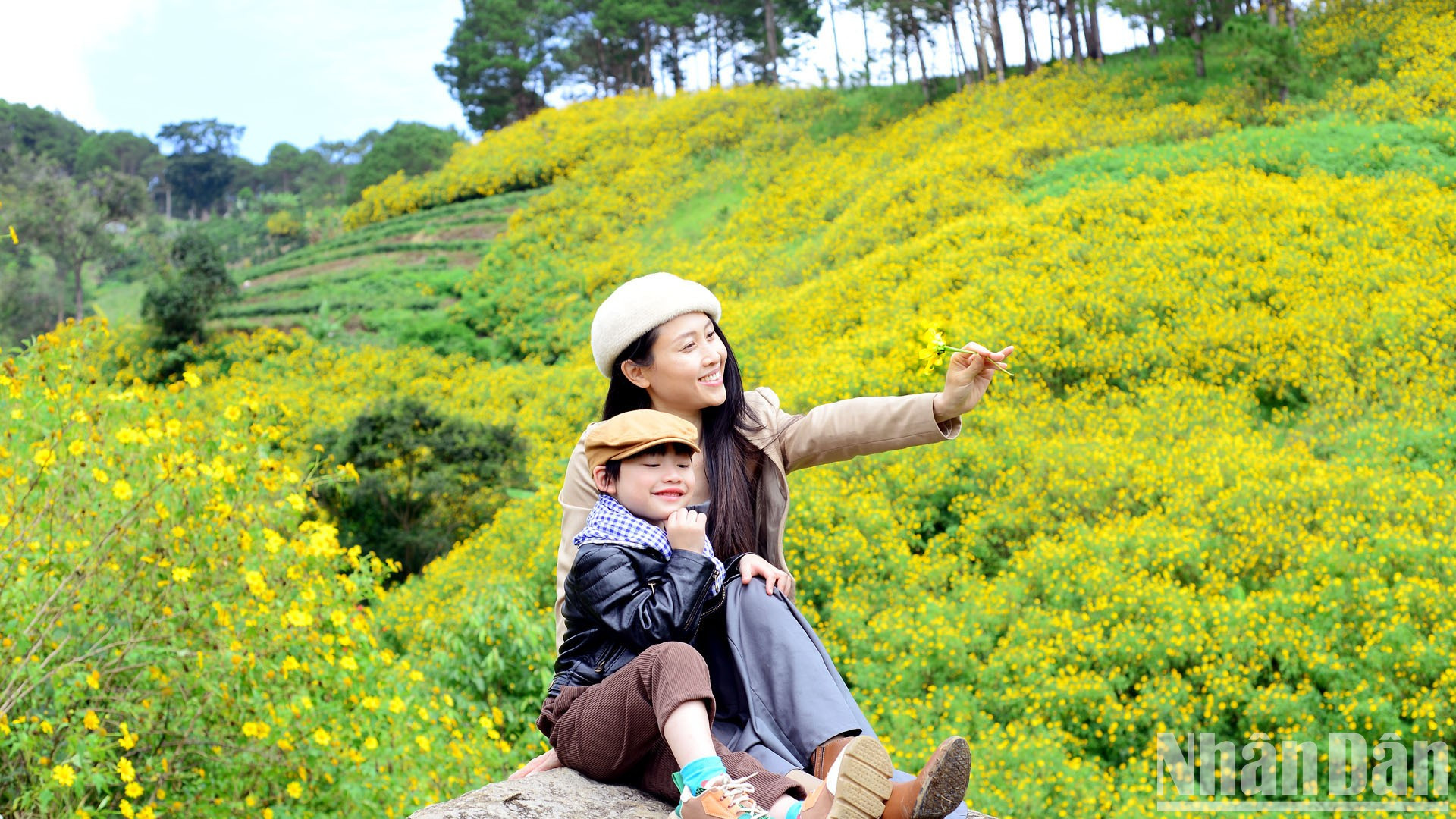 Cuando esta temporada llega a los suburbios y las áreas vecinas de Da Lat, los visitantes podrán disfrutar de unas vistas de ensueño.