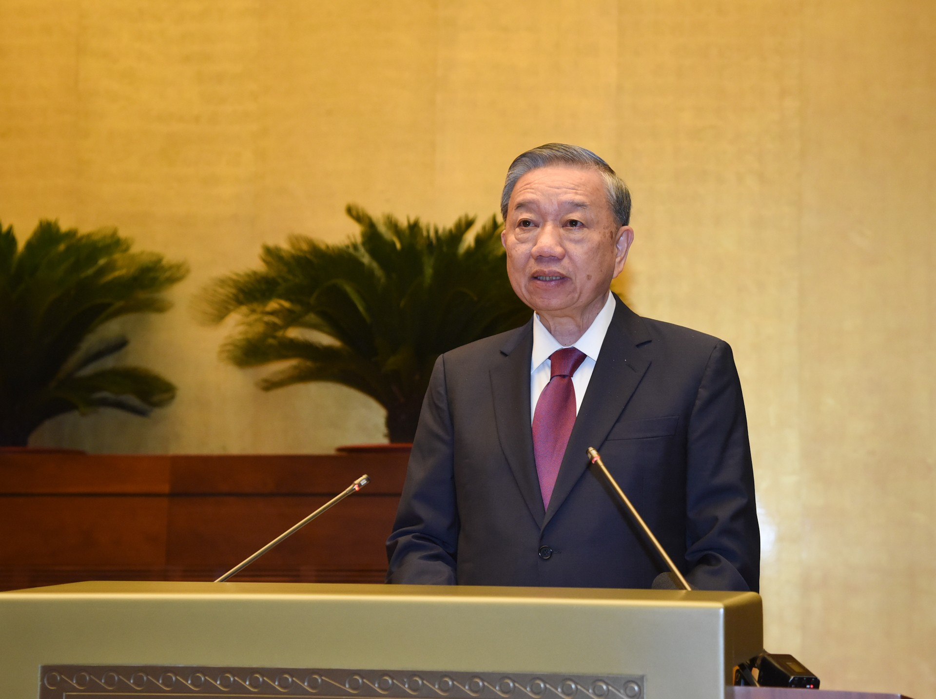 El máximo dirigente vietnamita habla en la cita. El máximo dirigente vietnamita habla en la cita.