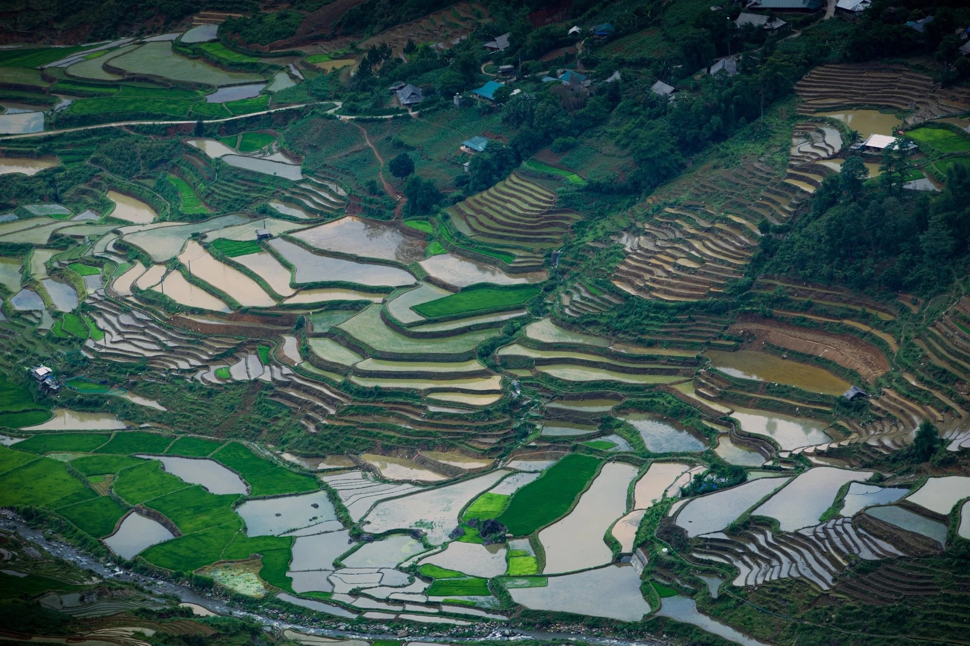 Destinos como La Pan Tan, Che Cu Nha y De Xu Phinh son conocidos por albergar los arrozales en terrazas más amplios, altos y hermosos de toda la región de Mu Cang Chai. Esto se debe al esfuerzo y la creatividad de varias generaciones de la etnia Mong, tanto en la elección de la ubicación y la forma de las terrazas como en las técnicas empleadas para conservar el agua y prevenir la erosión.