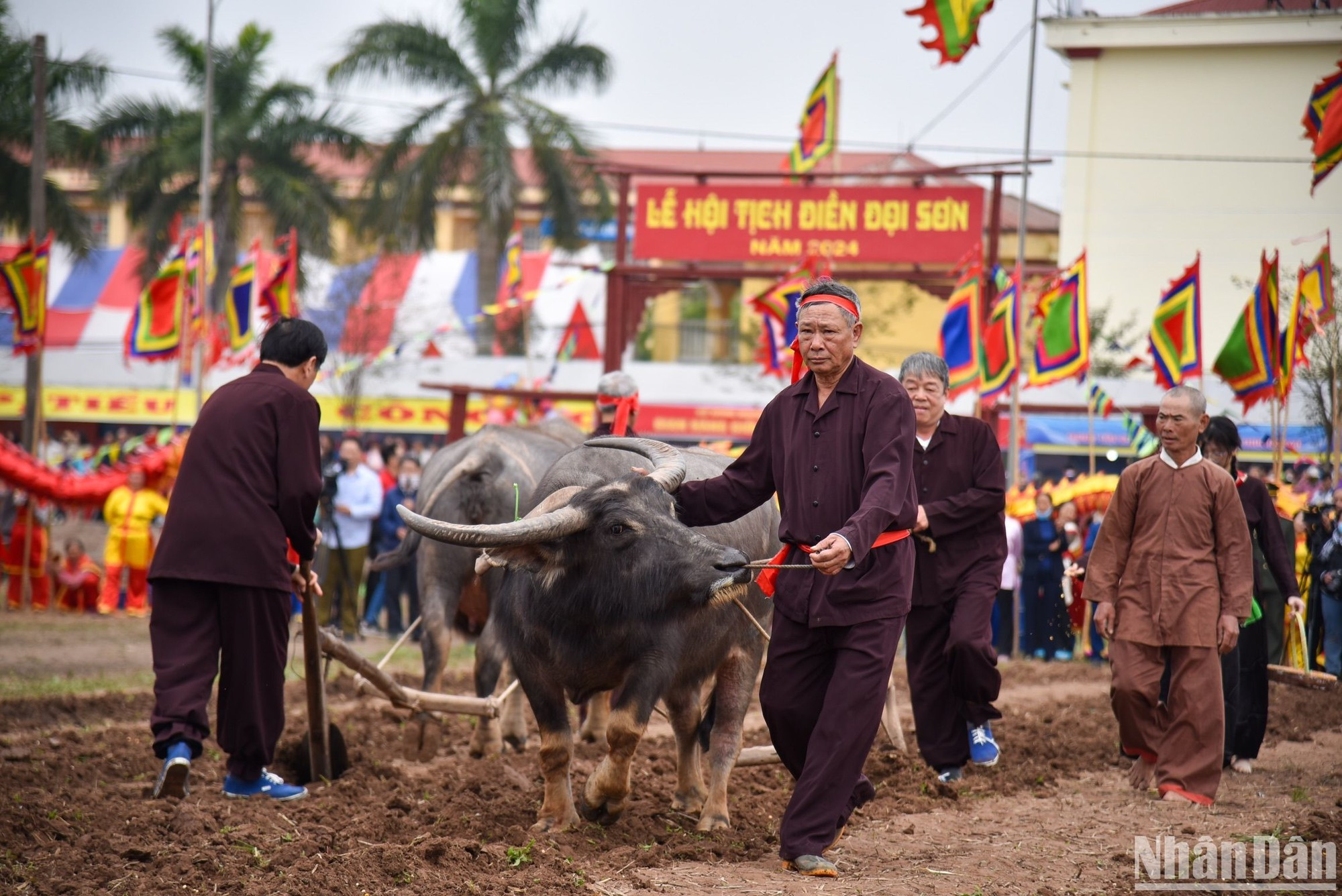 Según la tradición establecida por el rey, se realizan tres líneas de arado con la esperanza de un año de clima favorable, buenas cosechas y prosperidad. Según la tradición establecida por el rey, se realizan tres líneas de arado con la esperanza de un año de clima favorable, buenas cosechas y prosperidad.