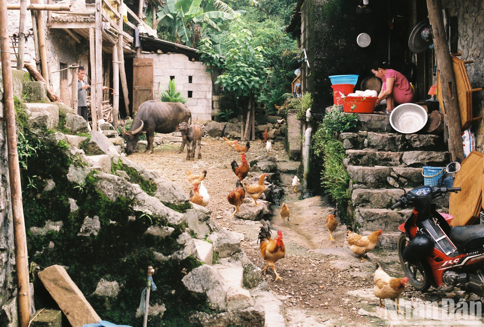 La aldea de Khuoi Ky se encuentra en la comuna de Dam Thuy, distrito de Trung Khanh, casi a 100 kilómetros de la ciudad de Cao Bang. Allí residen 14 familias de la etnia Tay que viven en casas de piedra sobre pilotes con cientos de años de antigüedad.