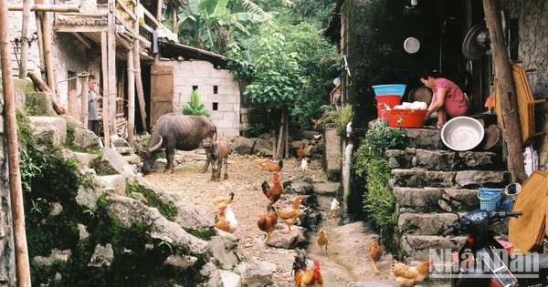 La aldea de Khuoi Ky, un destino atractivo en la provincia de Cao Bang 