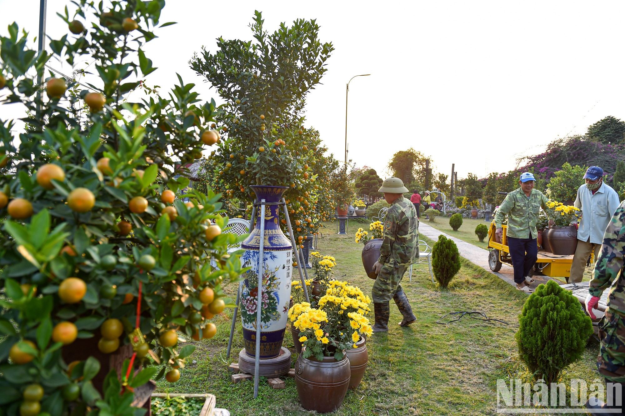 Gracias al buen tiempo, se espera que la aldea de Tu Lien tenga una buena cosecha.