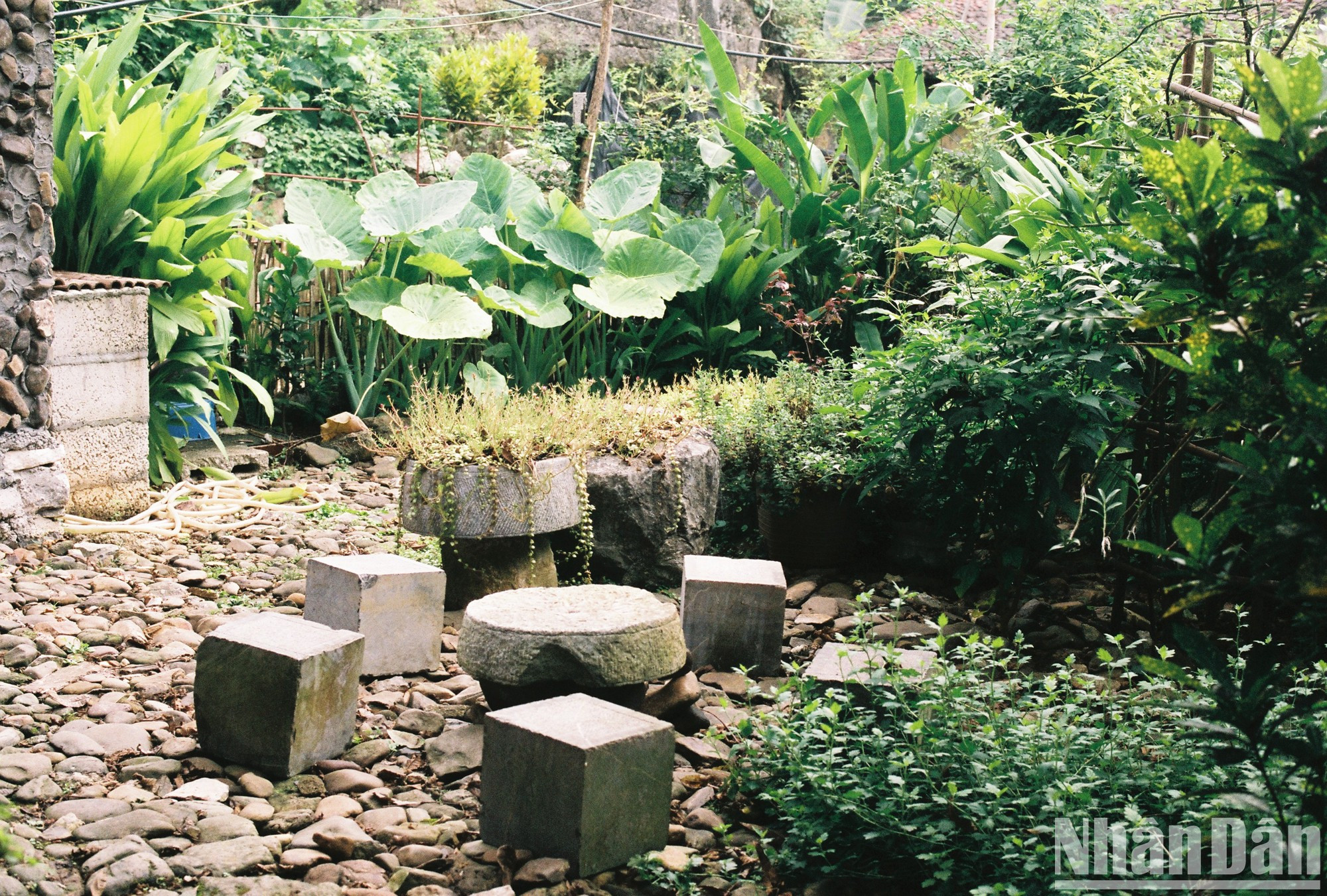 La piedra juega un papel importante en la vida de los miembros de la etnia Tay en Khuoi Ky. No solo es un elemento de construcción, sino también para hacer utensilios como molinos y estufas.