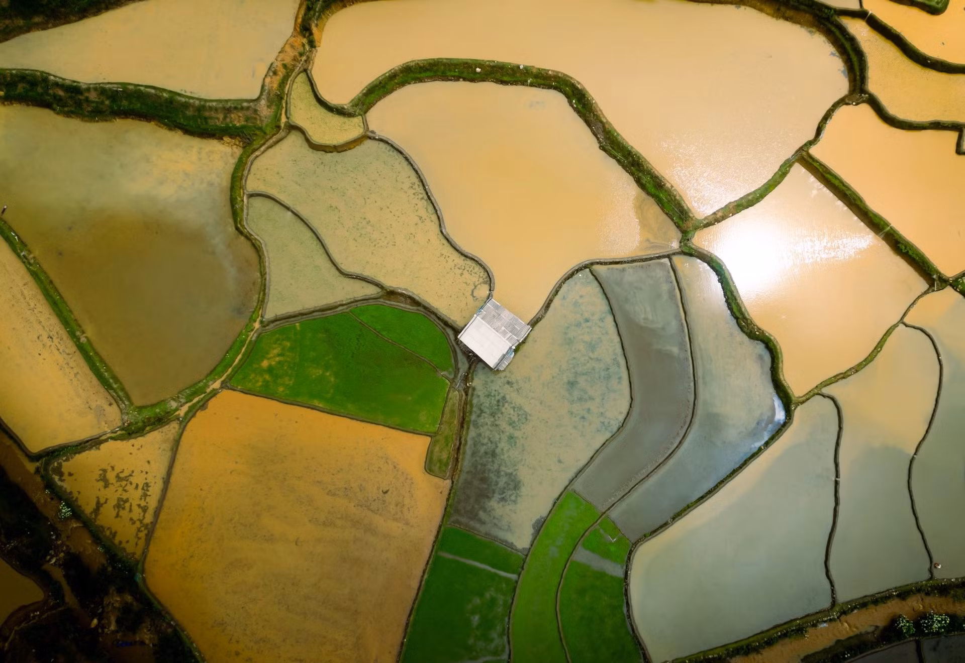 El agua de las montañas se desliza por las terrazas, formando una capa brillante que refleja la luz del sol. El agua de las montañas se desliza por las terrazas, formando una capa brillante que refleja la luz del sol.