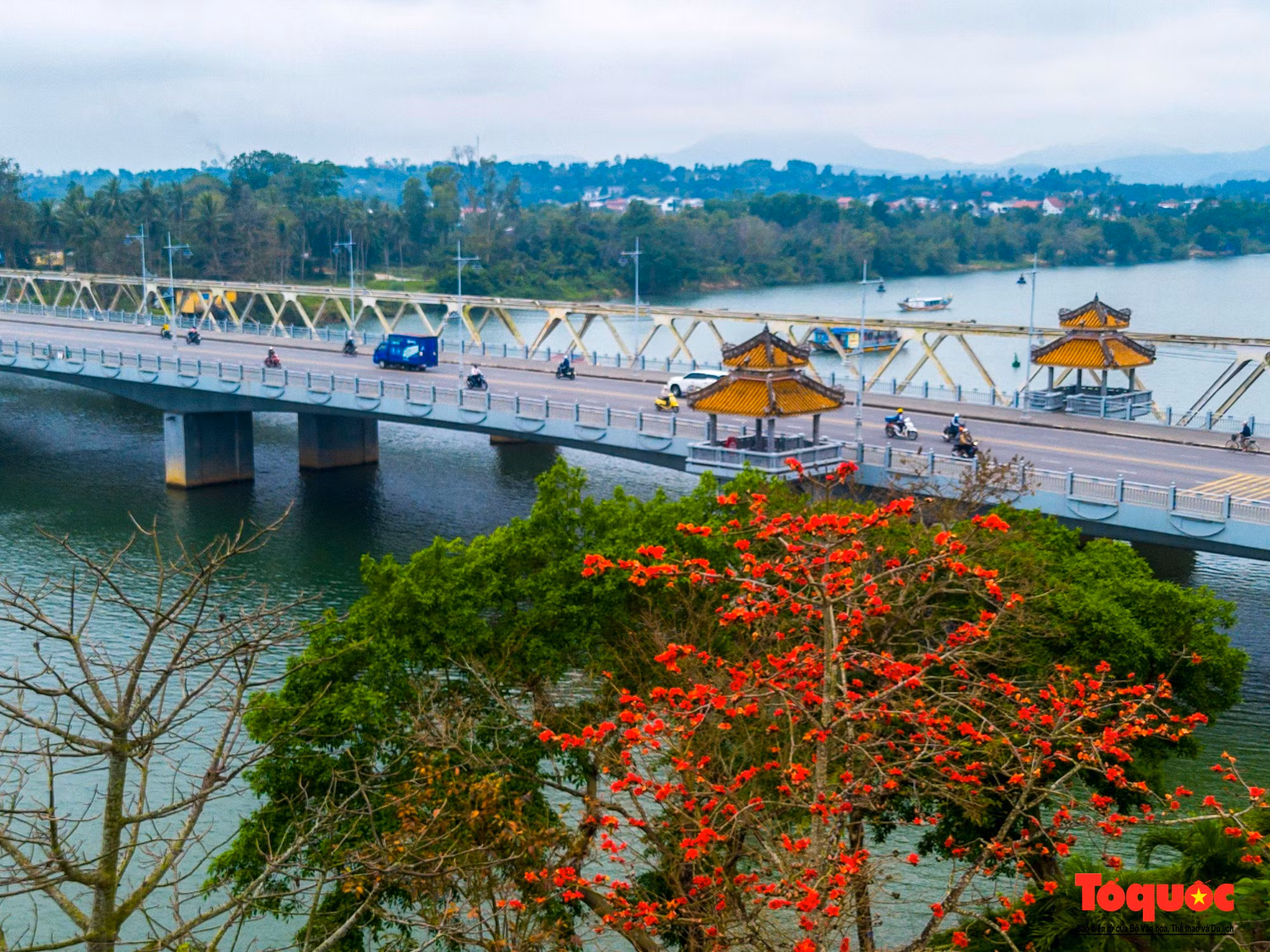 En los últimos días de febrero, los algodoneros se dejan vislumbrar iluminando de rojo un rincón de Hue. En los últimos días de febrero, los algodoneros se dejan vislumbrar iluminando de rojo un rincón de Hue.