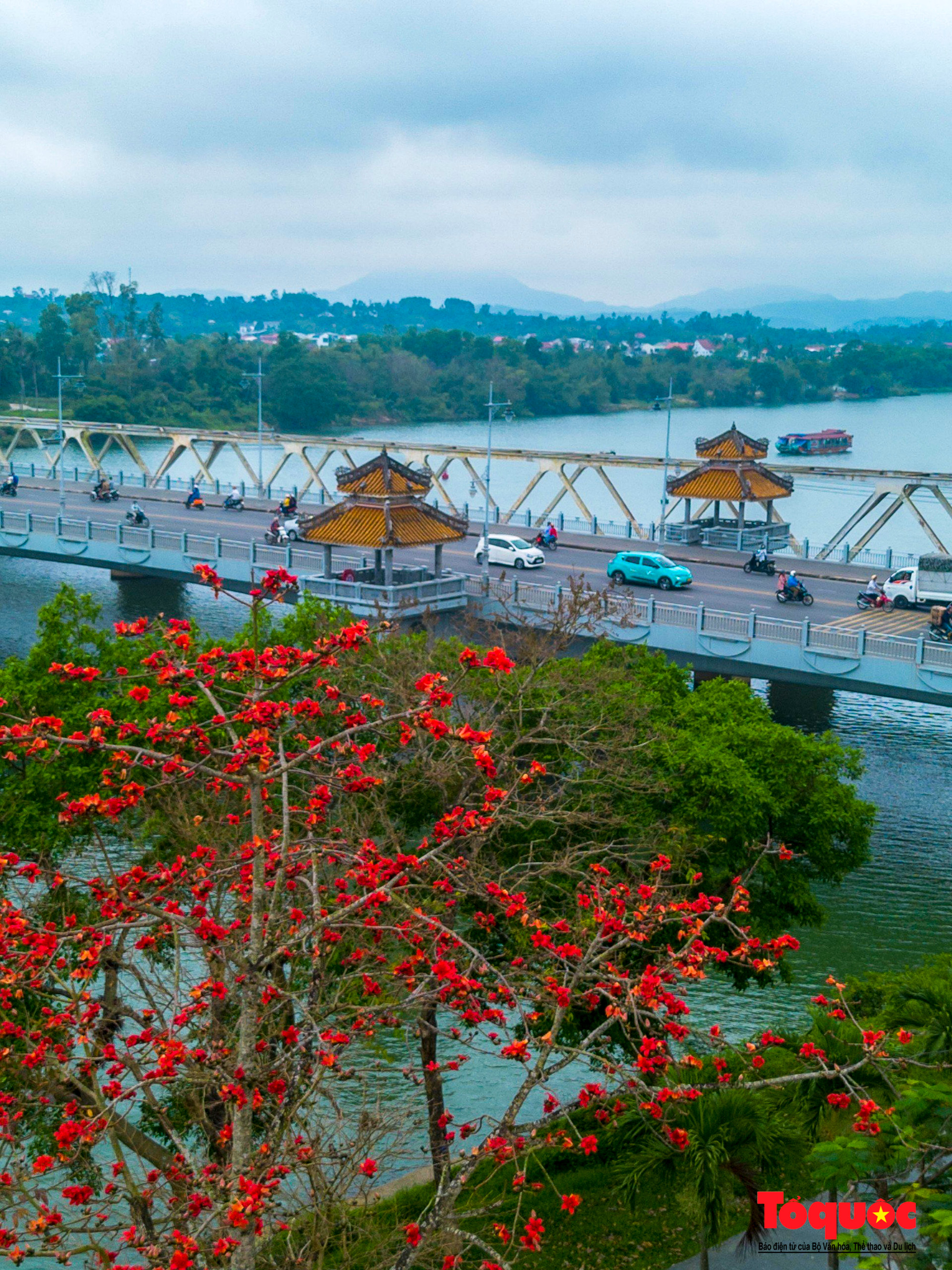 Hay cuatro algodoneros junto al puente Da Vien, que este año han florecido antes de lo habitual. Hay cuatro algodoneros junto al puente Da Vien, que este año han florecido antes de lo habitual.