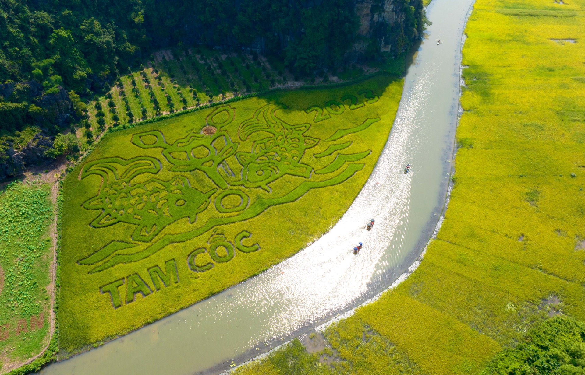 Quienes visiten Tam Coc por esos días tendrán la oportunidad de presenciar la obra Ly ngu vong nguyet (Carpas mirando a la luna), interpretada en un arrozal de más de nueve mil 500 metros cuadrados. Esa obra refleja la aspiración, los esfuerzos y la resiliencia de los vietnamitas para superar las dificultades. A través de esa obra artística, los campesinos expresan sus deseos de un año de paz y cosechas abundantes. La obra también refleja el apoyo del gobierno y los pobladores a la preservación de los valores culturales y naturales a fin de promover el turismo comunitario con un enfoque sostenible. Quienes visiten Tam Coc por esos días tendrán la oportunidad de presenciar la obra Ly ngu vong nguyet (Carpas mirando a la luna), interpretada en un arrozal de más de nueve mil 500 metros cuadrados. Esa obra refleja la aspiración, los esfuerzos y la resiliencia de los vietnamitas para superar las dificultades. A través de esa obra artística, los campesinos expresan sus deseos de un año de paz y cosechas abundantes. La obra también refleja el apoyo del gobierno y los pobladores a la preservación de los valores culturales y naturales a fin de promover el turismo comunitario con un enfoque sostenible.