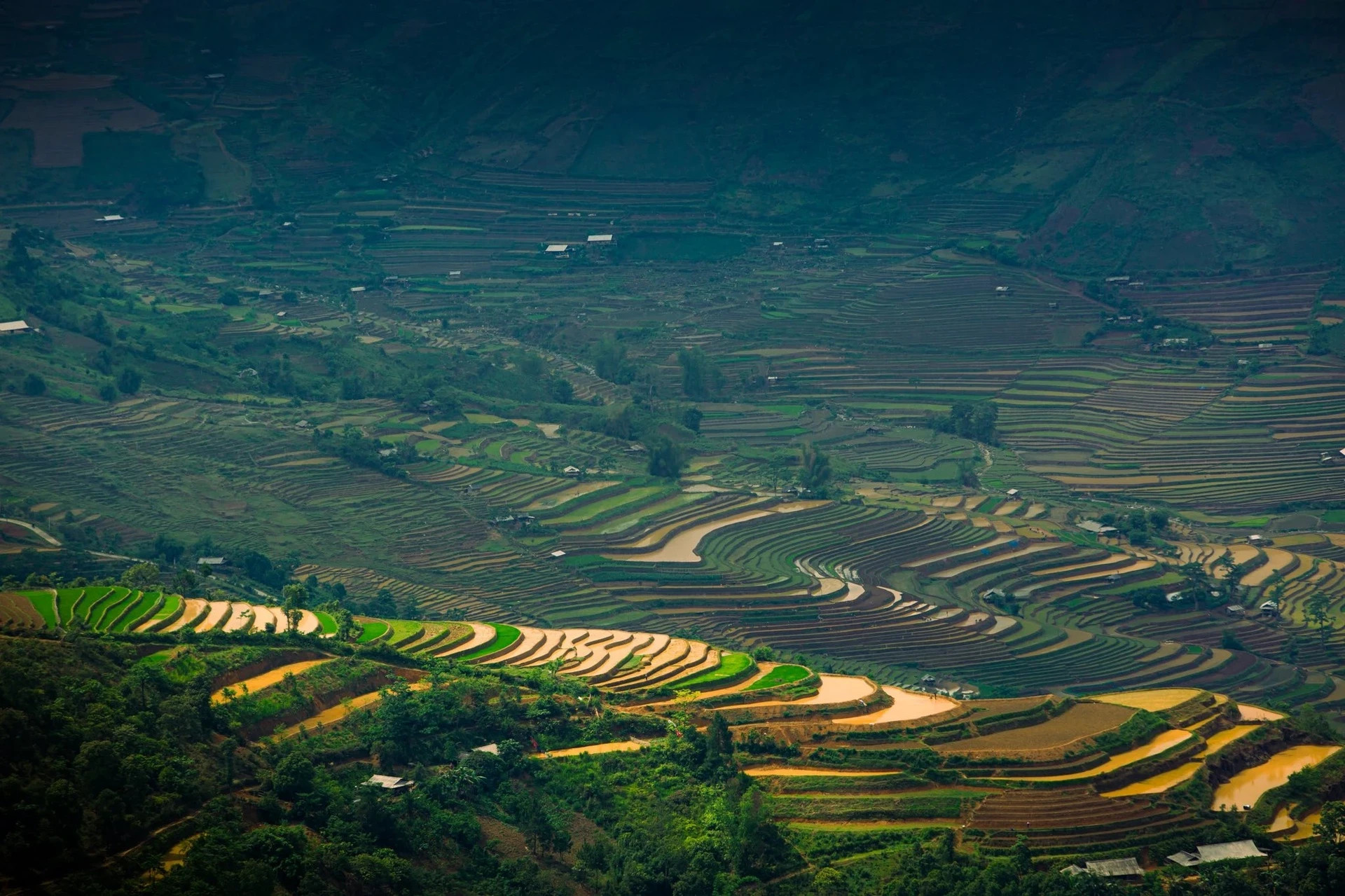 Escena cautivadora en Mu Cang Chai durante la temporada de lluvias