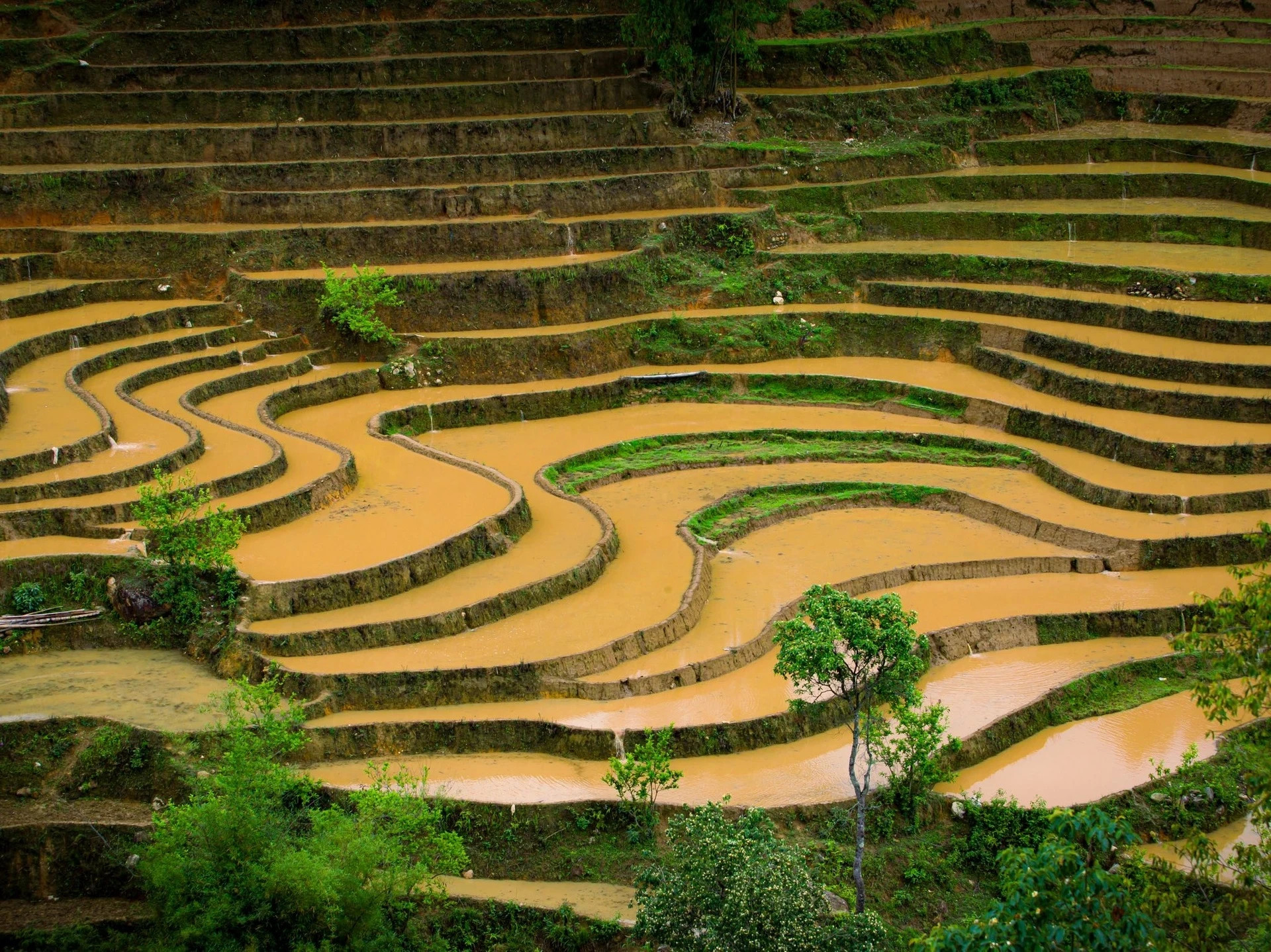 Además de Mu Cang Chai, los turistas pueden visitar otras zonas montañosas del noroeste del país, como Hoang Su Phi (provincia de Ha Giang), Y Ty, Sa Pa y Bat Xat (provincia de Lao Cai), para admirar la belleza de esta temporada. Cada lugar tiene su propio encanto, pero todos ellos comparten la simplicidad y vitalidad que trae esta época del año.