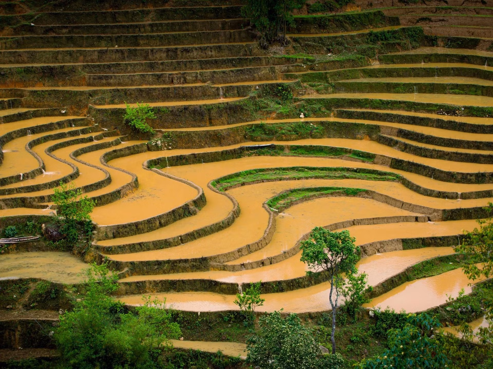 Además de Mu Cang Chai, los turistas pueden visitar otras zonas montañosas del noroeste del país, como Hoang Su Phi (provincia de Ha Giang), Y Ty, Sa Pa y Bat Xat (provincia de Lao Cai), para admirar la belleza de esta temporada. Cada lugar tiene su propio encanto, pero todos ellos comparten la simplicidad y vitalidad que trae esta época del año. Además de Mu Cang Chai, los turistas pueden visitar otras zonas montañosas del noroeste del país, como Hoang Su Phi (provincia de Ha Giang), Y Ty, Sa Pa y Bat Xat (provincia de Lao Cai), para admirar la belleza de esta temporada. Cada lugar tiene su propio encanto, pero todos ellos comparten la simplicidad y vitalidad que trae esta época del año.