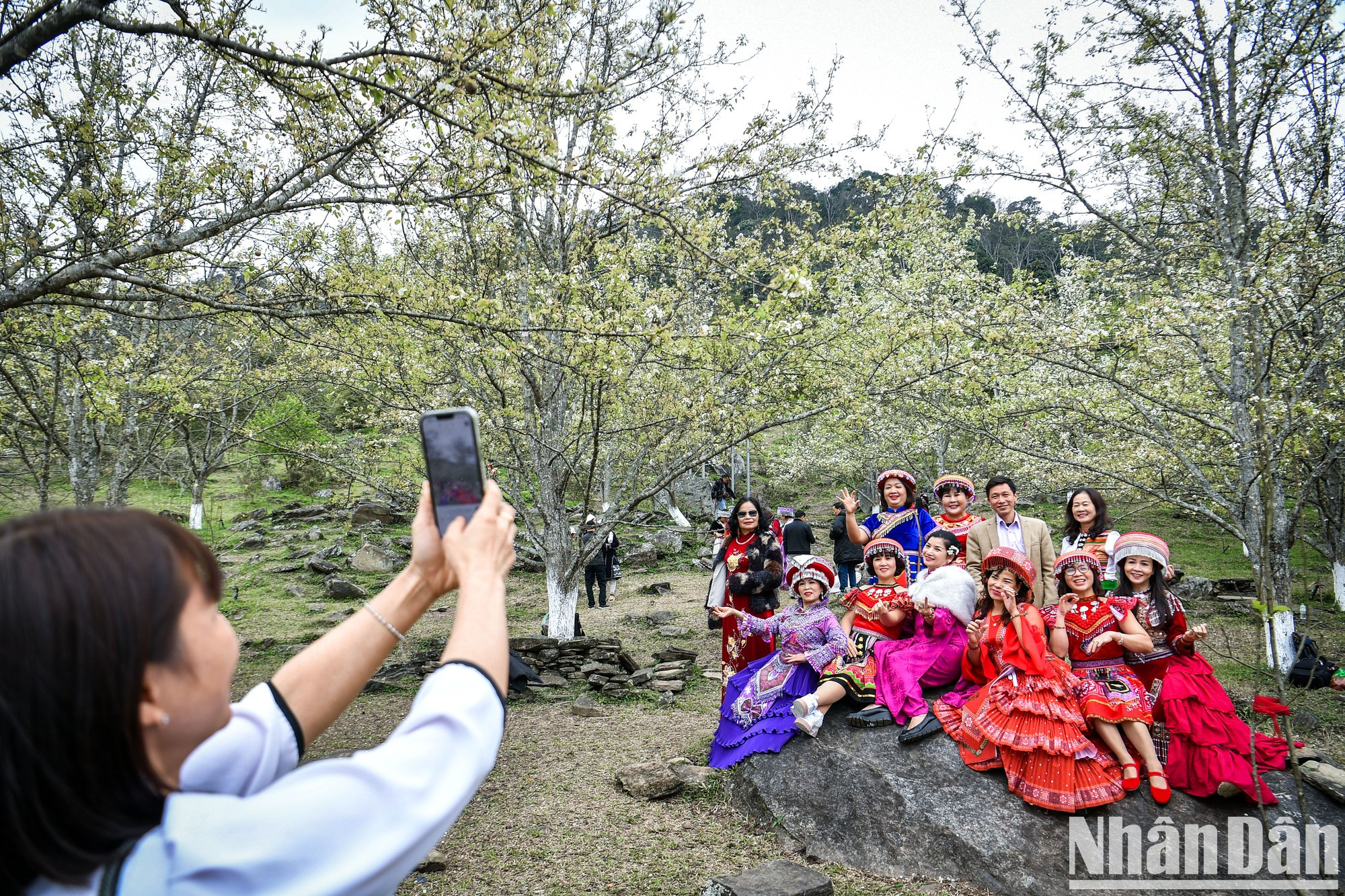 Turistas toman fotos de check-in en un jardín de perales.