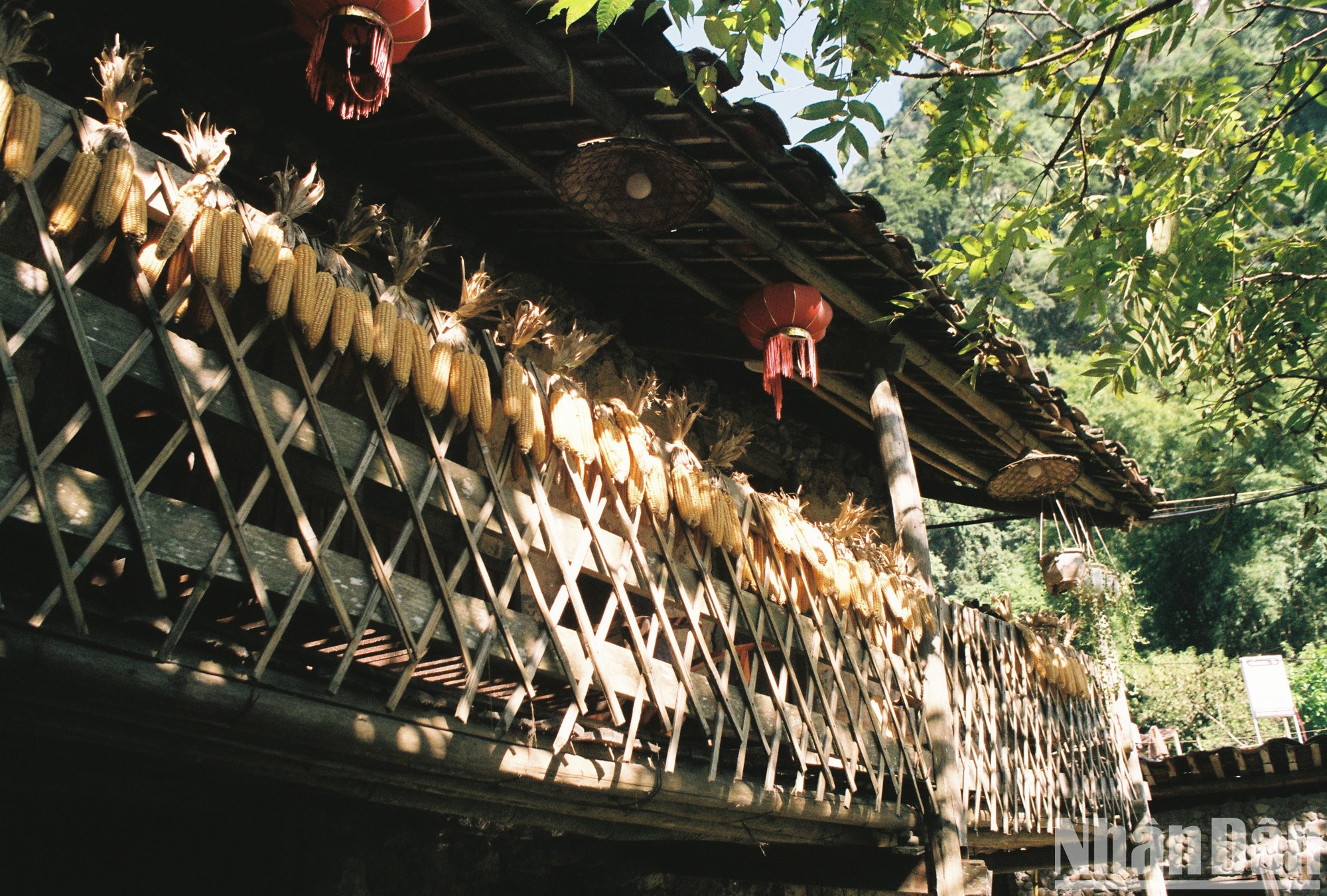El estilo turístico de homestay (alojamiento con familias locales) empieza a desarrollarse en Khuoi Ky