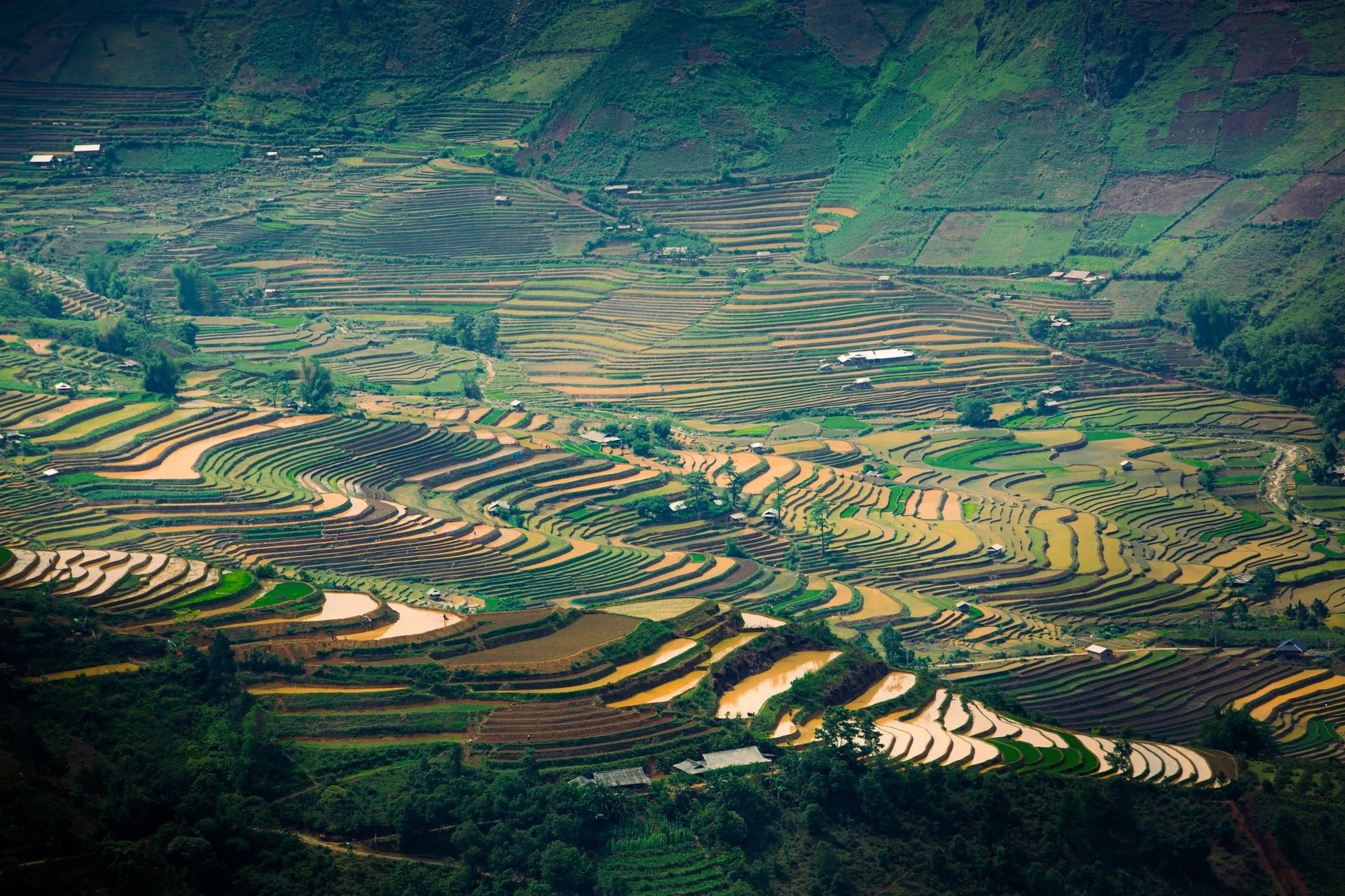 El clima durante esta temporada es agradable, con sol suave por la mañana y mediodía, y lluvias ligeras por la tarde. Se recomienda a los visitantes que planifiquen sus visitas por la mañana para disfrutar mejor de la experiencia.