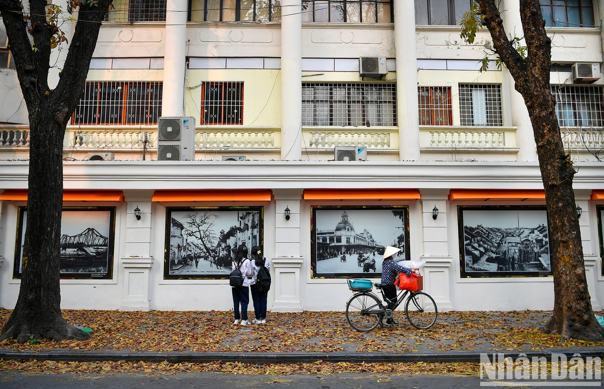 Aquellos que pasean por esta calle no pueden resistirse a detenerse para sentir la típica temporada de caída de hojas de Hanoi. Aquellos que pasean por esta calle no pueden resistirse a detenerse para sentir la típica temporada de caída de hojas de Hanoi.